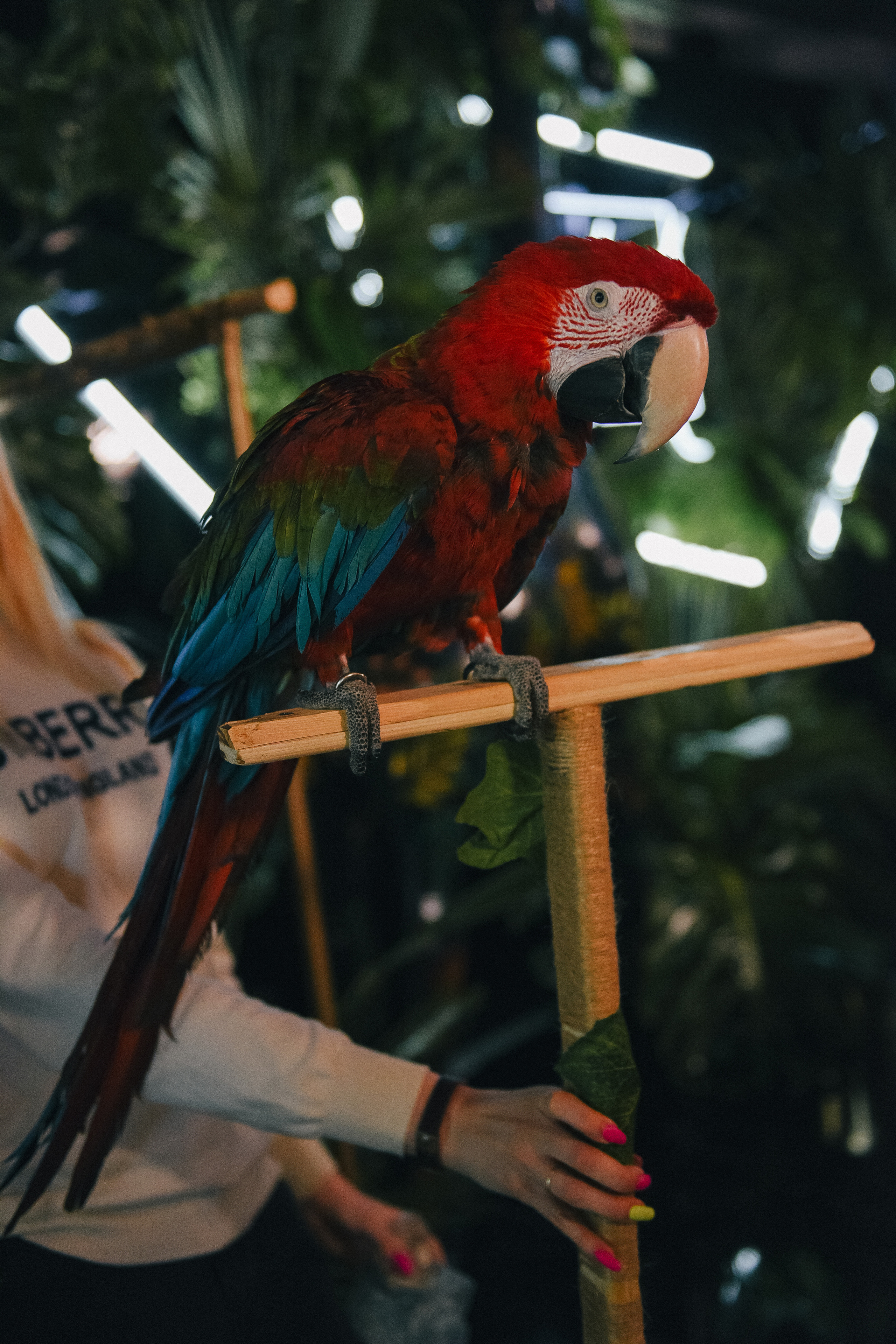 Асянди. Свадебный и семейный фотограф Волгоград Москва