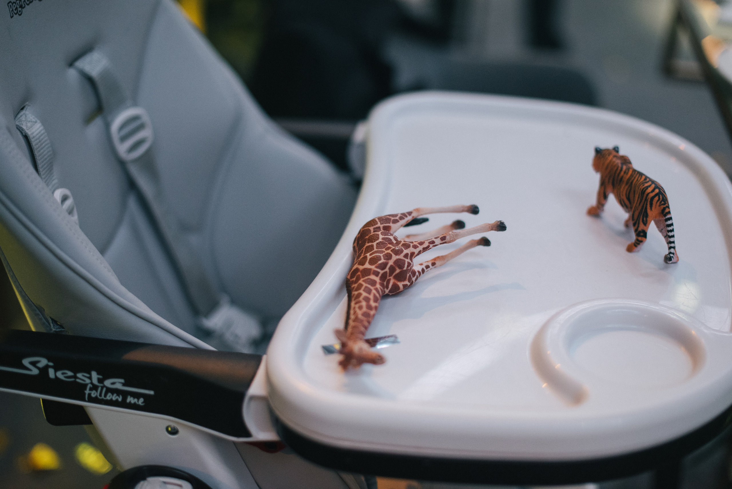 Асянди. Свадебный и семейный фотограф Волгоград Москва