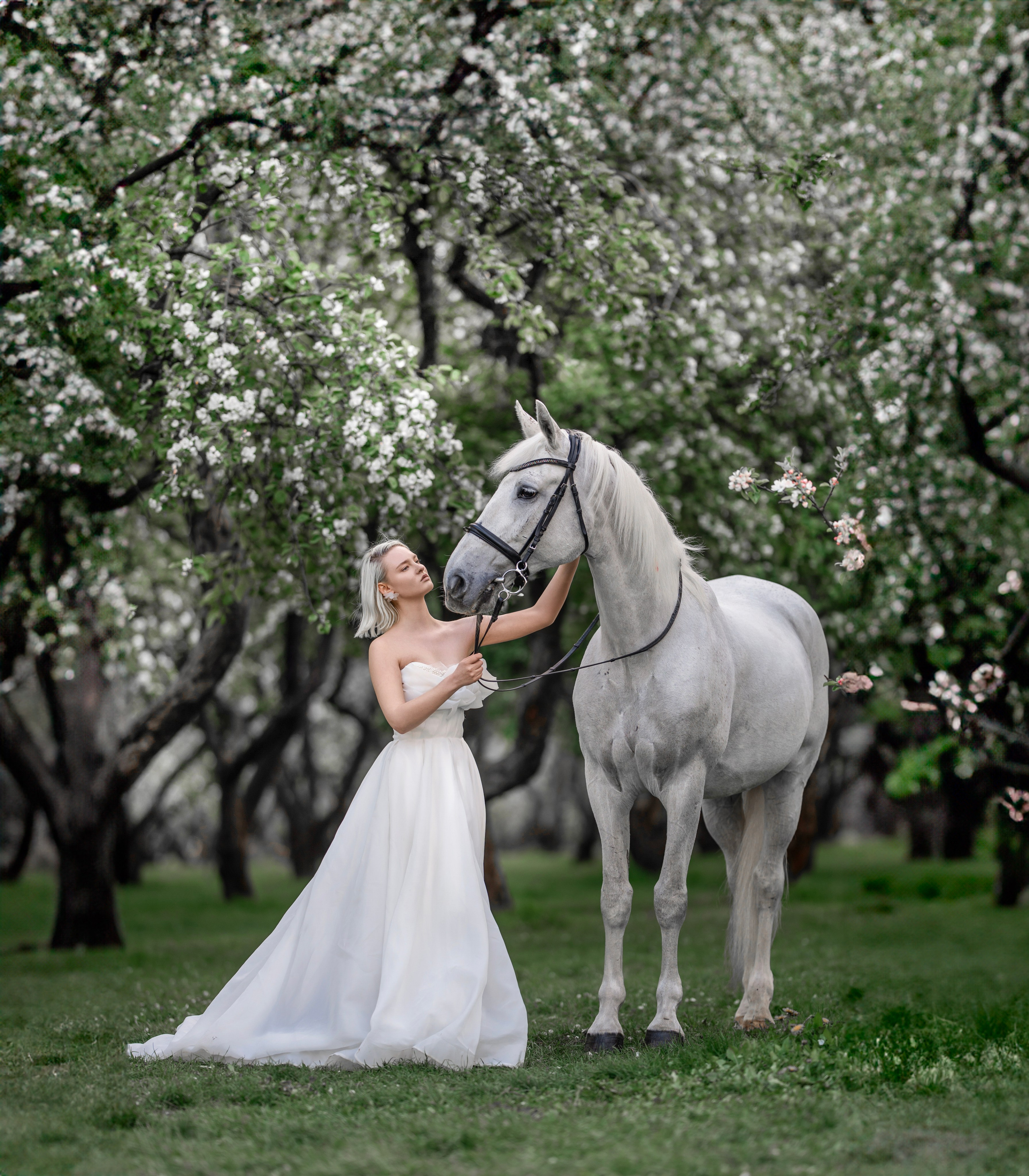 Цветение садов. Профессиональный фотограф в Москве Марина Григорьева