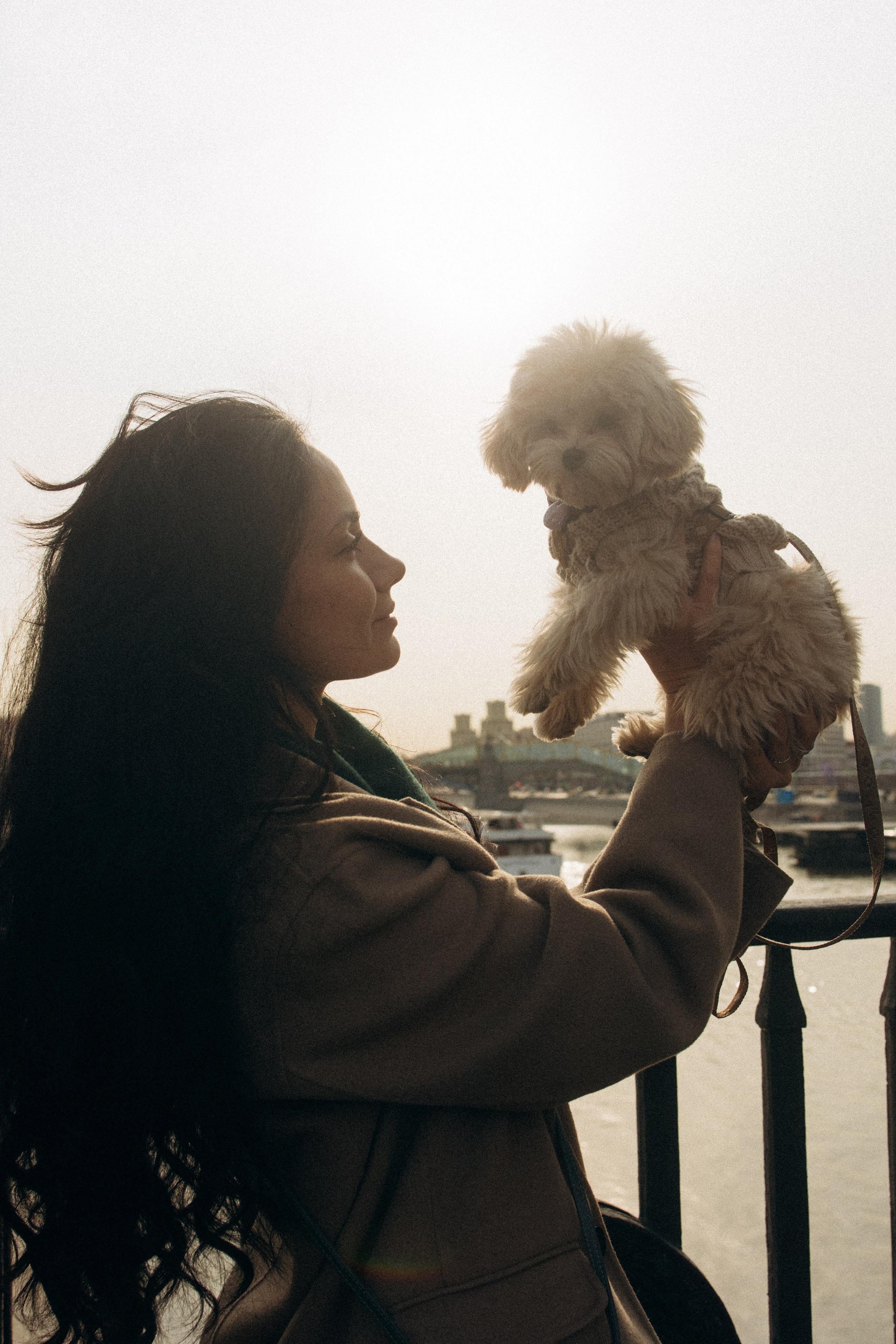 Маша, Лиза и Луна. Фотораф — анималист Мария Шистка