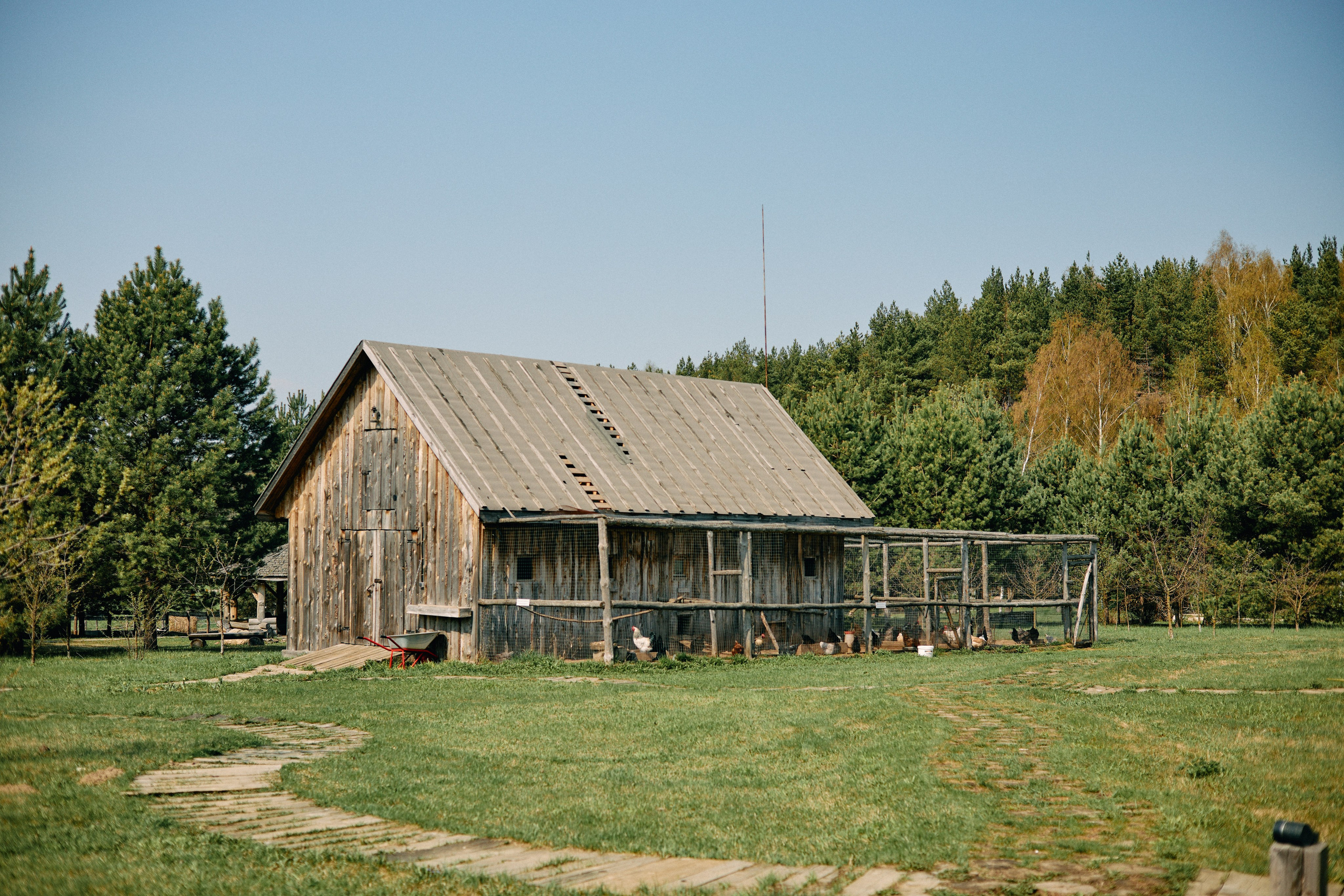 Бутик-отель Поле летом. Профессиональный Фотограф во Владимире, в Москве и в Суздале — Полина Романычева