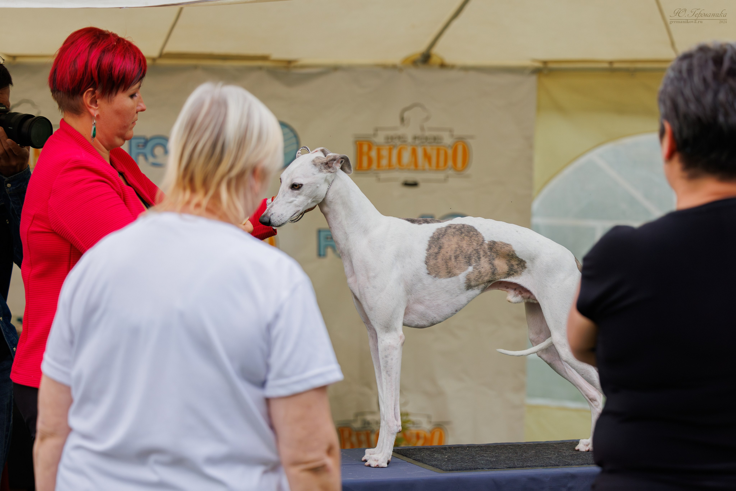 Астана 2хCACIB 17-18.08.2024. Фотограф-анималист Юлия Германика