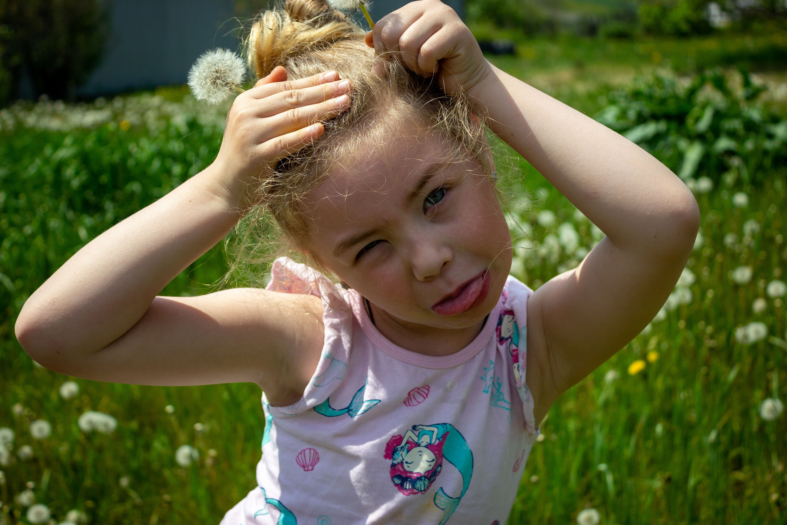 Одуванчики. Фотограф в Богдановиче Анна Сантяпова