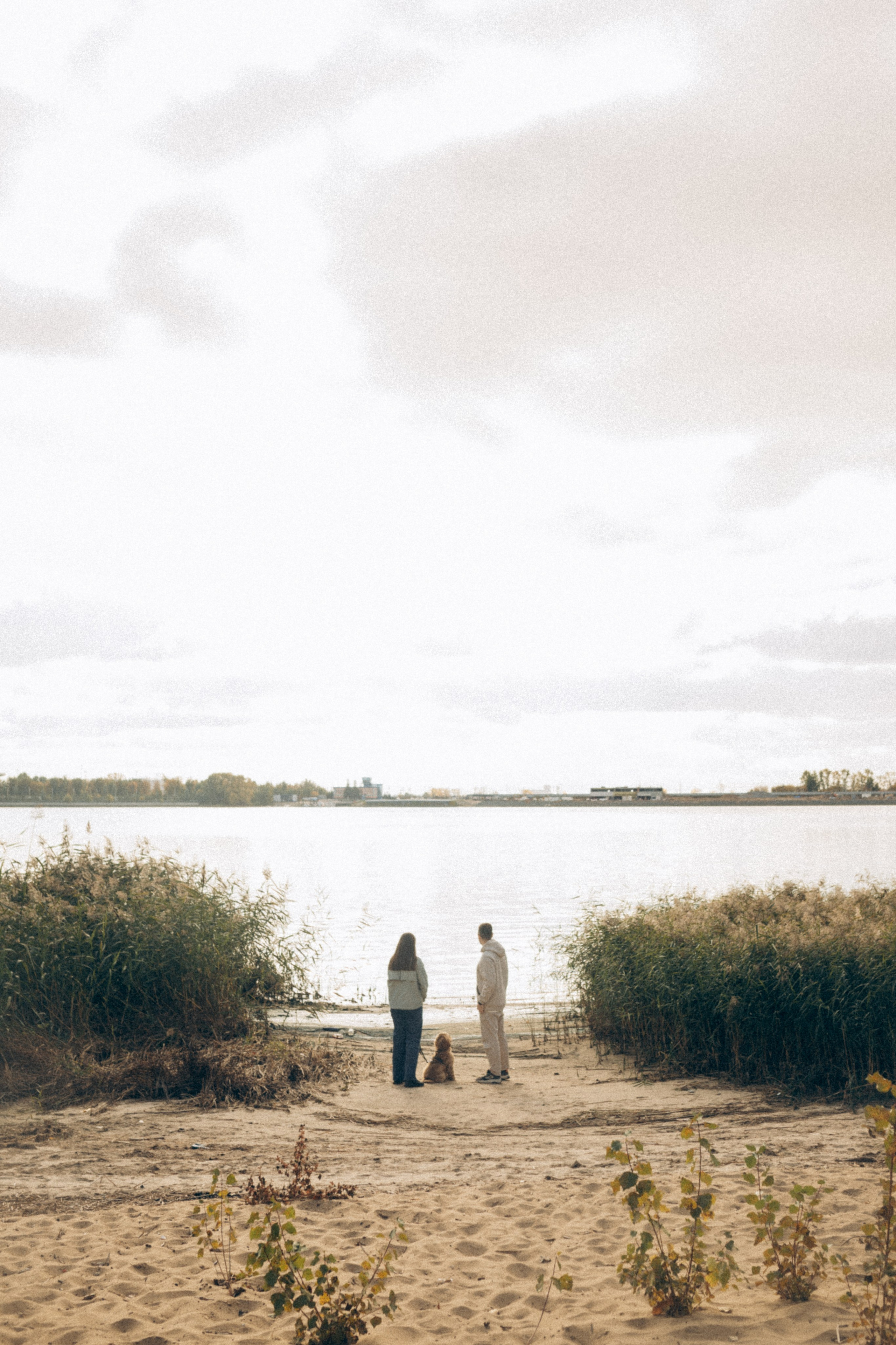 Саша Леся и Чипс. Свадебный фотограф Казань