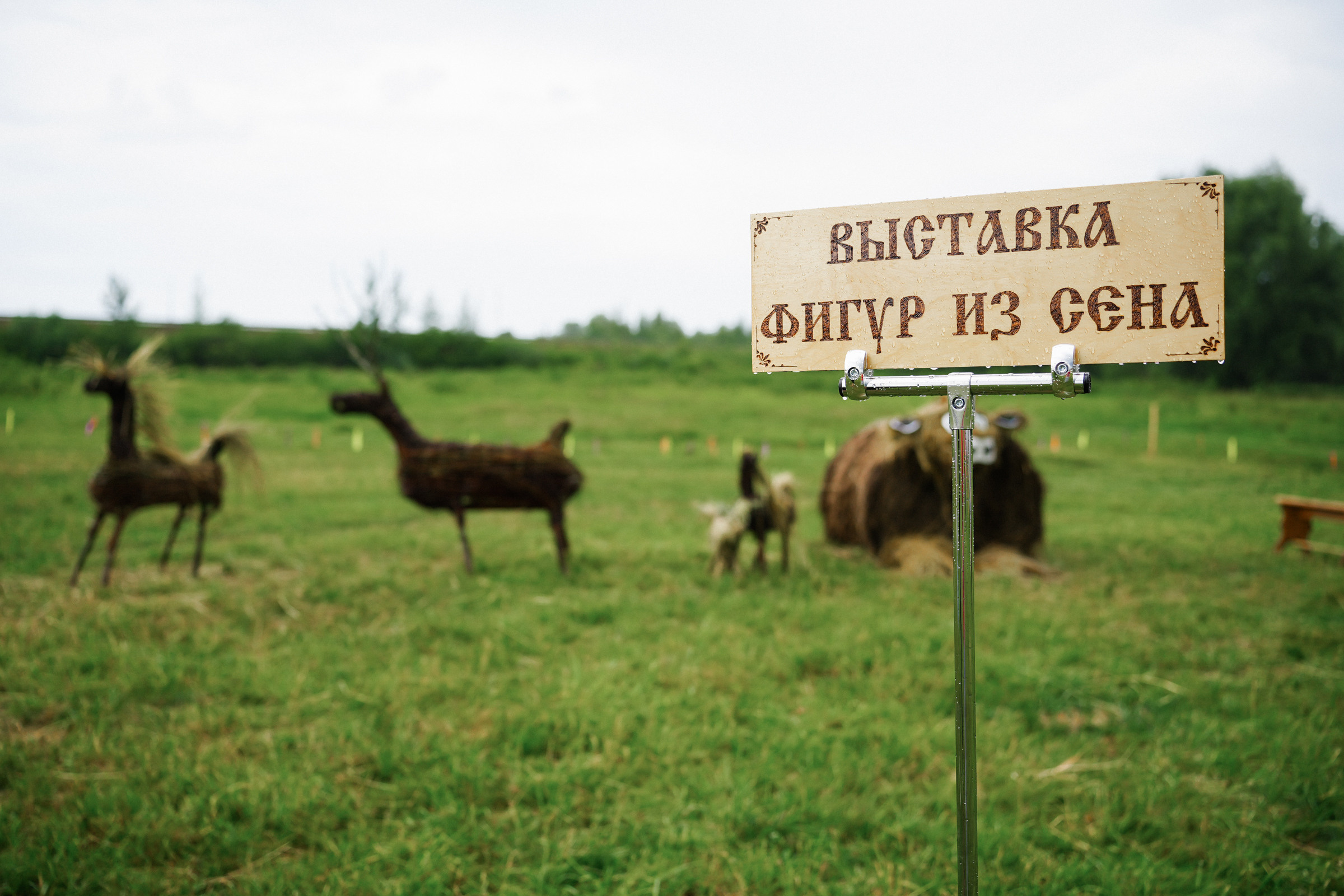 /РЕПОРТАЖ/ Фестиваль СЕНОВАЛ 01.07.2023 (Парфино). Свадебный фотограф Великий Новгород Станислав Кособудский