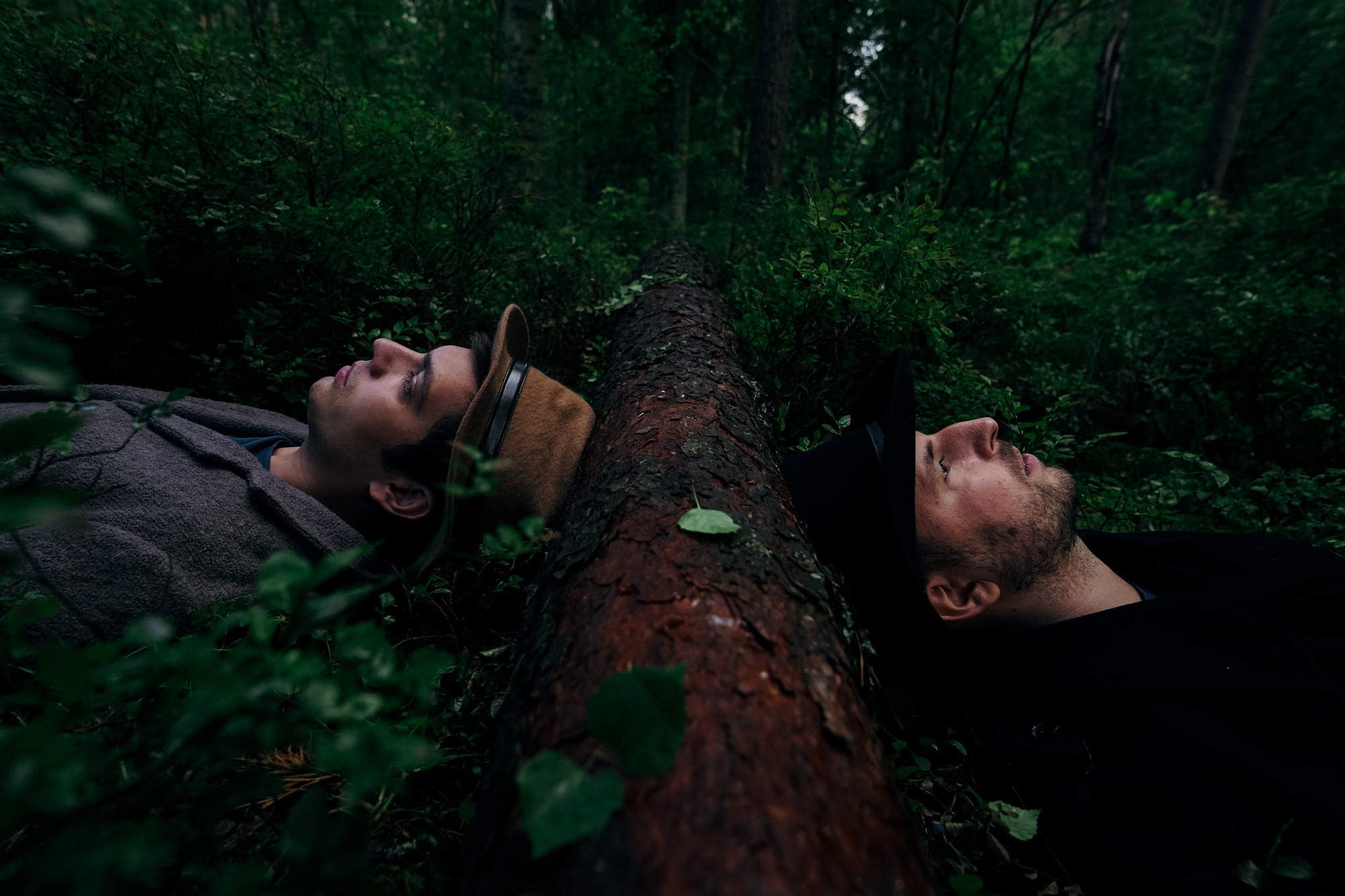 Общий альбой 2019. Свадебный фотограф Великий Новгород Станислав Кособудский