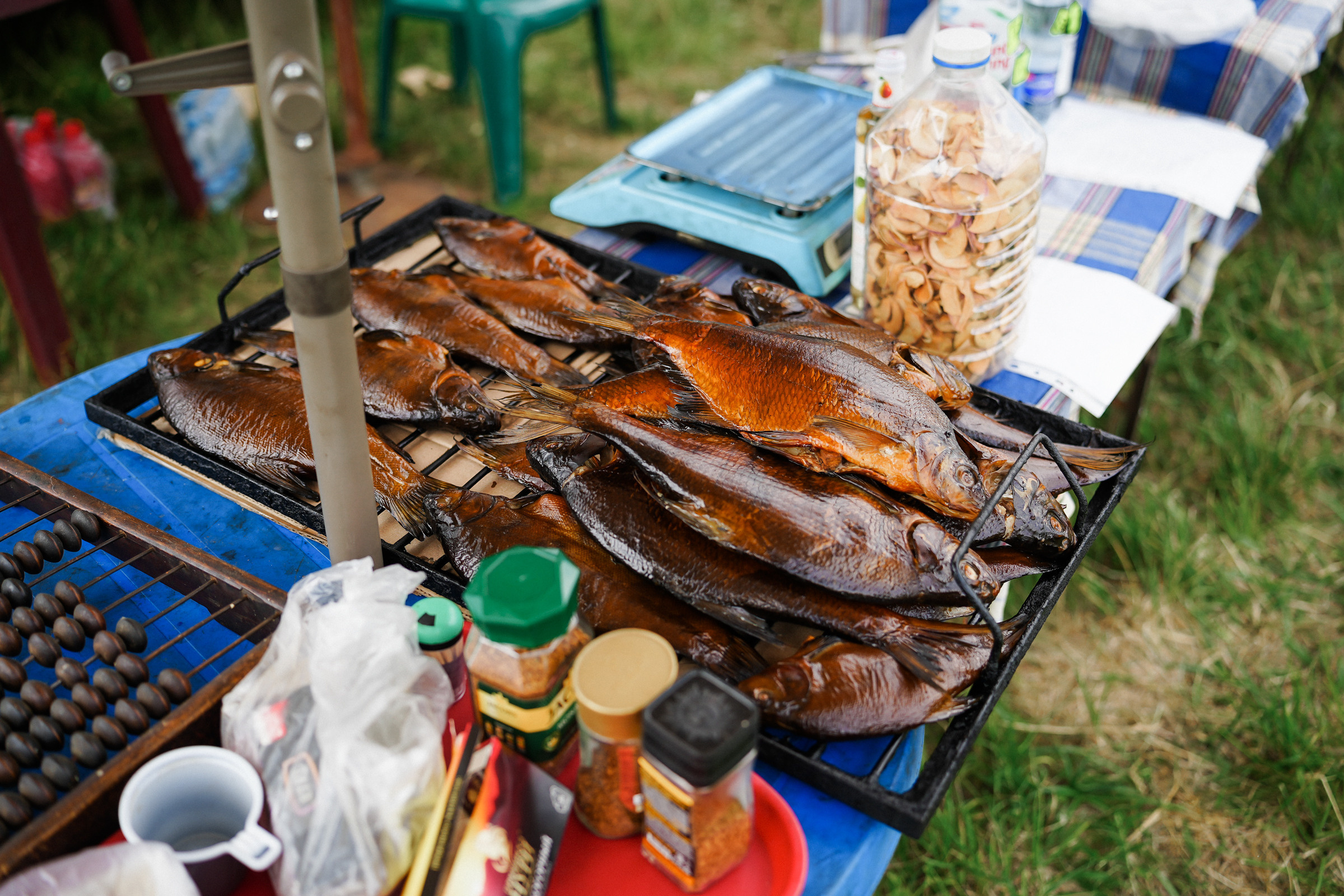 /РЕПОРТАЖ/ Фестиваль СЕНОВАЛ 01.07.2023 (Парфино). Свадебный фотограф Великий Новгород Станислав Кособудский