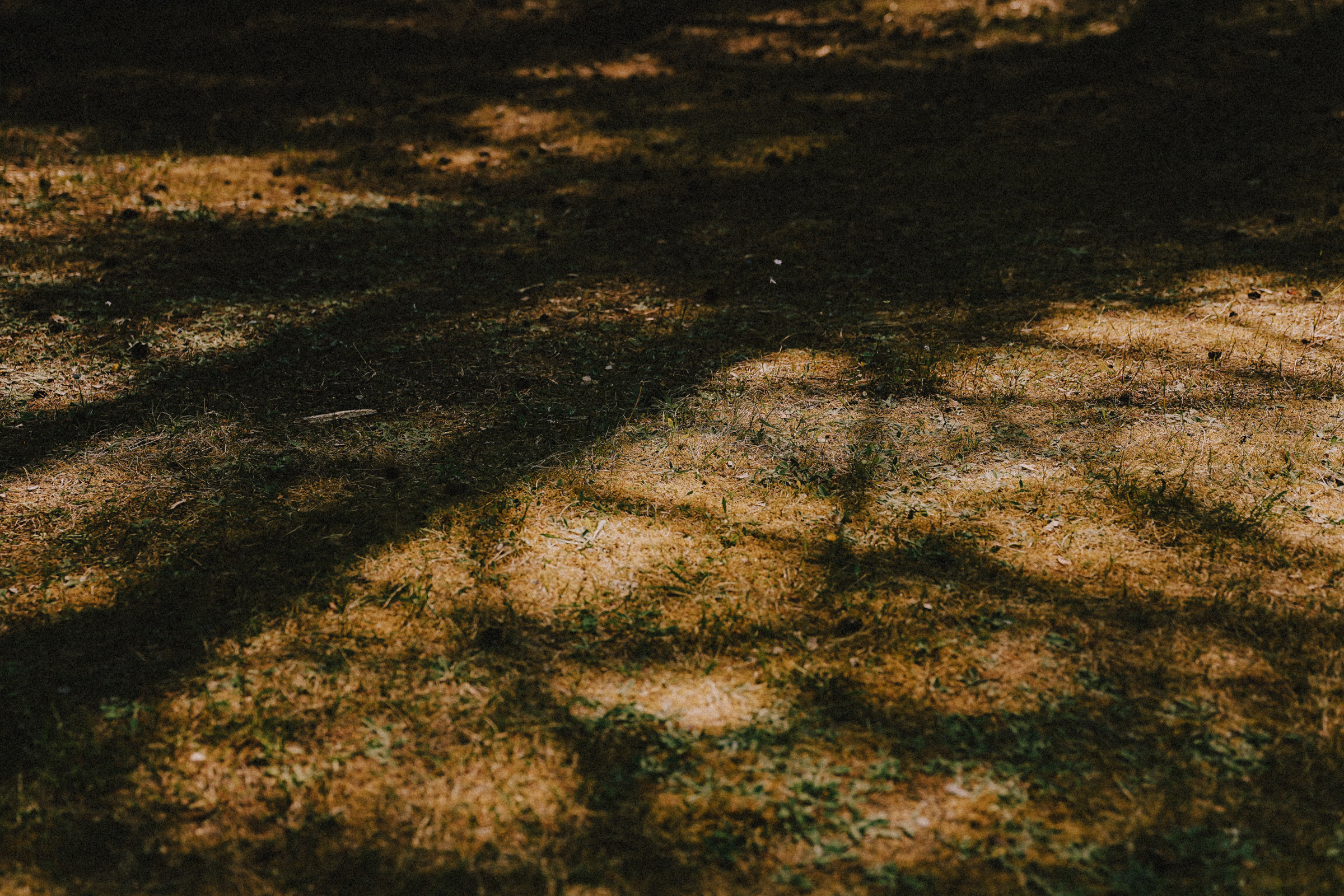 /РЕПОРТАЖ/ Велогонка Царь-Грейдер ONE 14.07.2023. Свадебный фотограф Великий Новгород Станислав Кособудский