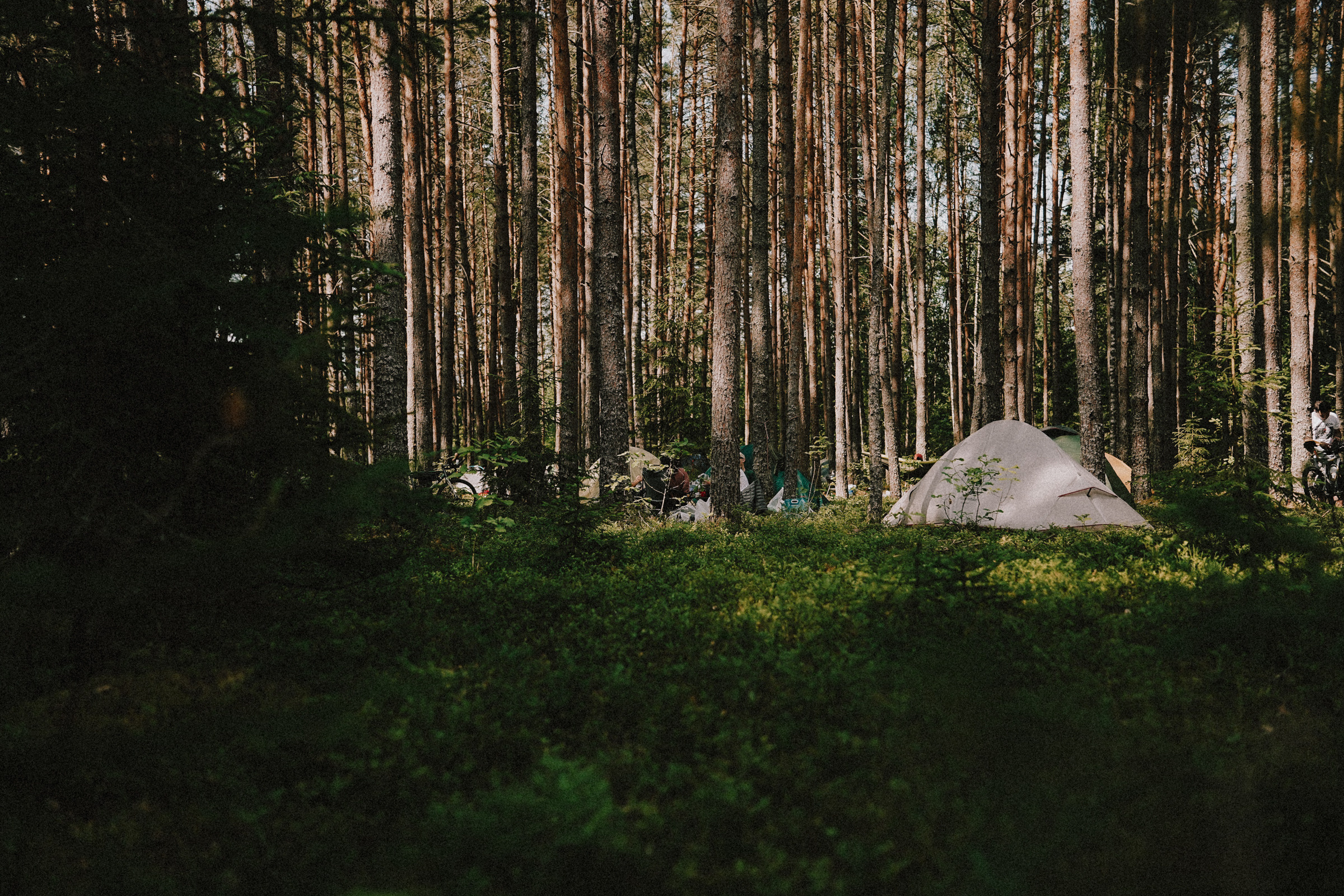 /РЕПОРТАЖ/ Велогонка Царь-Грейдер ONE 14.07.2023. Свадебный фотограф Великий Новгород Станислав Кособудский