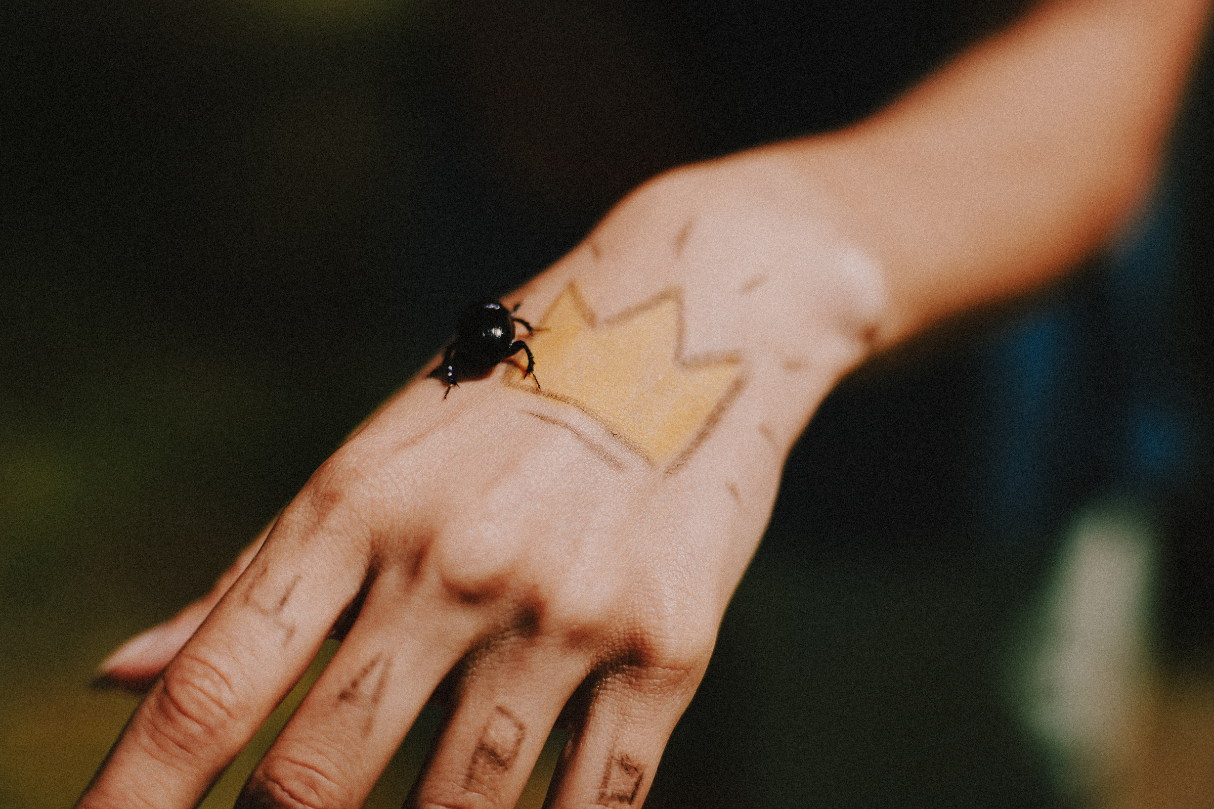 /РЕПОРТАЖ/ Велогонка Царь-Грейдер ONE 14.07.2023. Свадебный фотограф Великий Новгород Станислав Кособудский