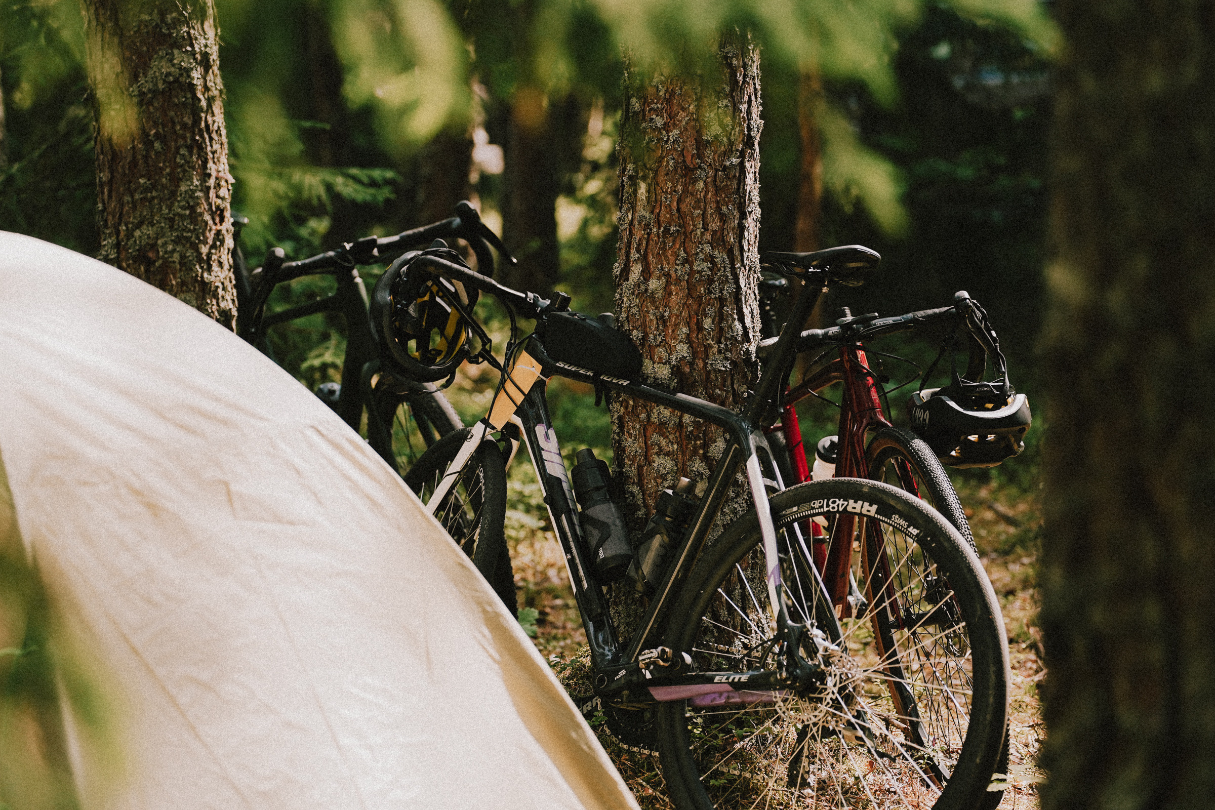 /РЕПОРТАЖ/ Велогонка Царь-Грейдер ONE 14.07.2023. Свадебный фотограф Великий Новгород Станислав Кособудский