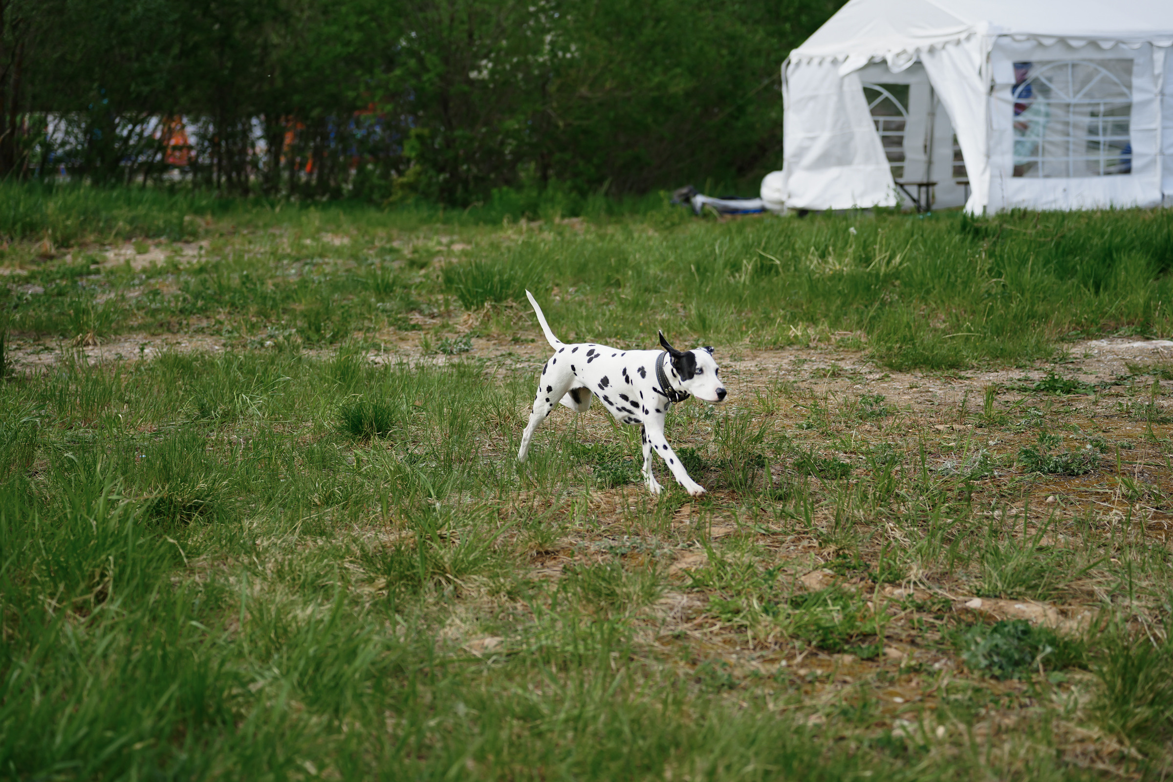 /РЕПОРТАЖ/ Триатлон 27.05.2023. Свадебный фотограф Великий Новгород Станислав Кособудский