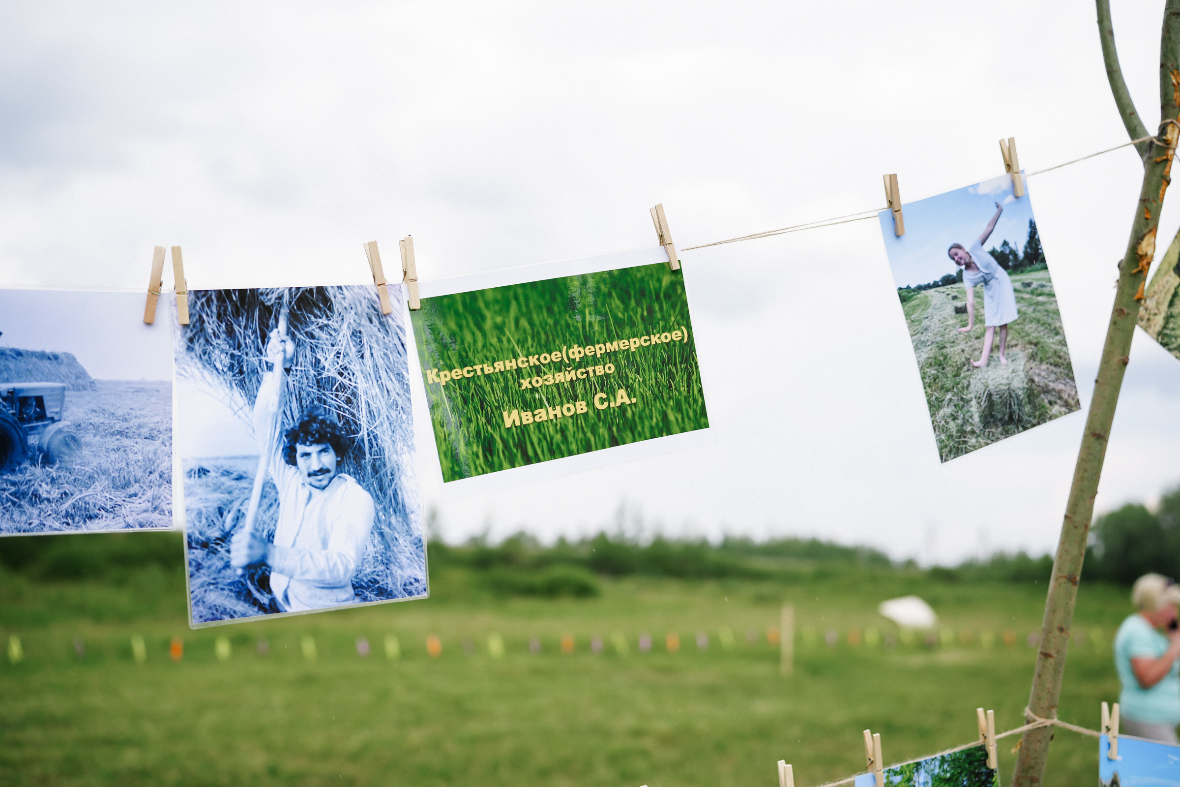 /РЕПОРТАЖ/ Фестиваль СЕНОВАЛ 01.07.2023 (Парфино). Свадебный фотограф Великий Новгород Станислав Кособудский
