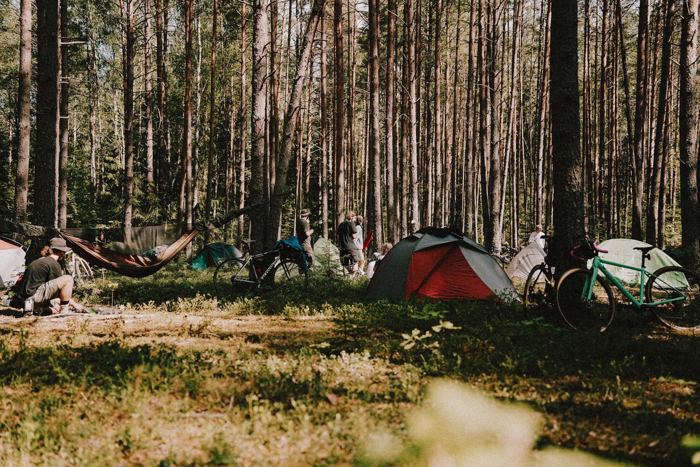 /РЕПОРТАЖ/ Велогонка Царь-Грейдер ONE 14.07.2023. Свадебный фотограф Великий Новгород Станислав Кособудский