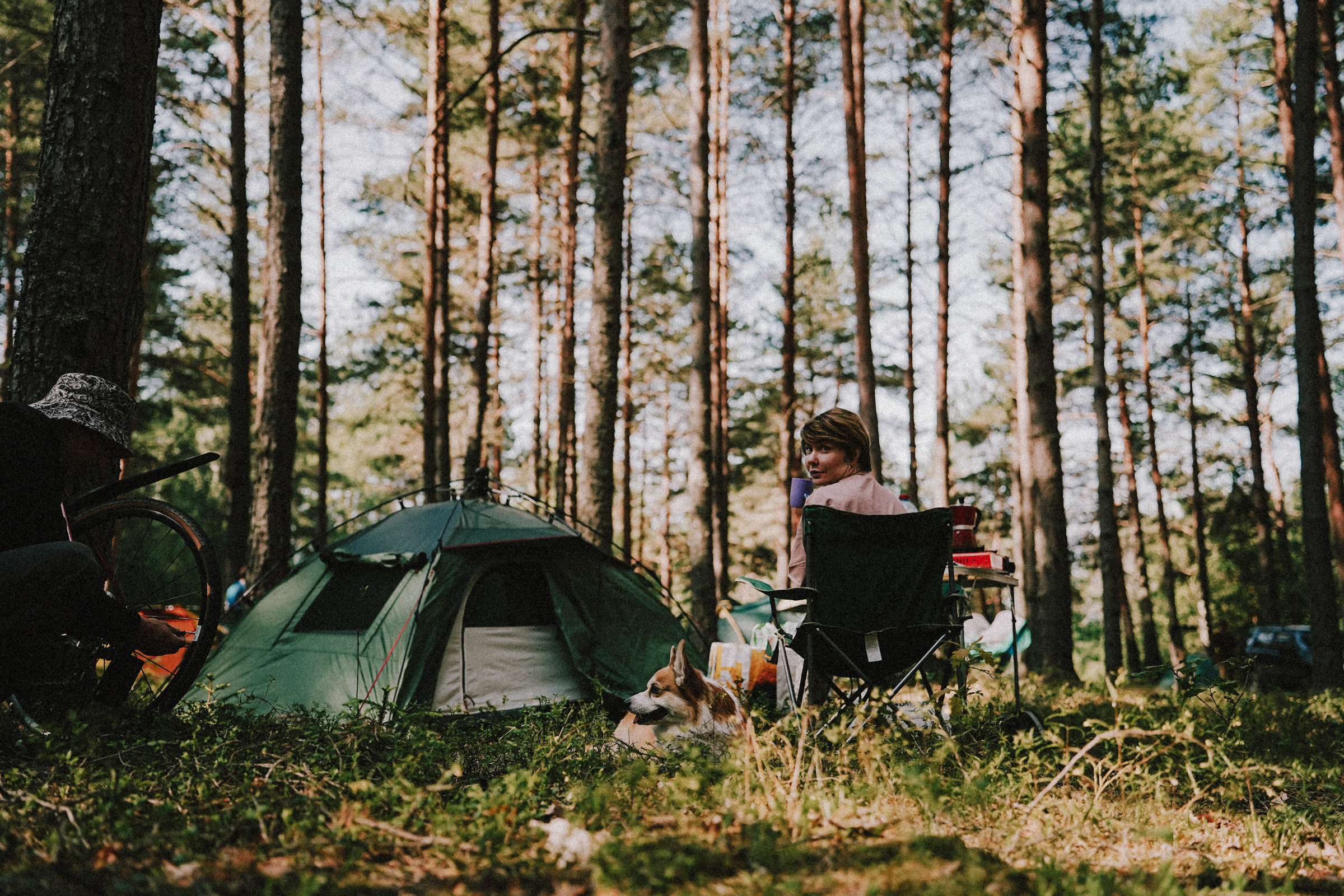 /РЕПОРТАЖ/ Велогонка Царь-Грейдер ONE 14.07.2023. Свадебный фотограф Великий Новгород Станислав Кособудский