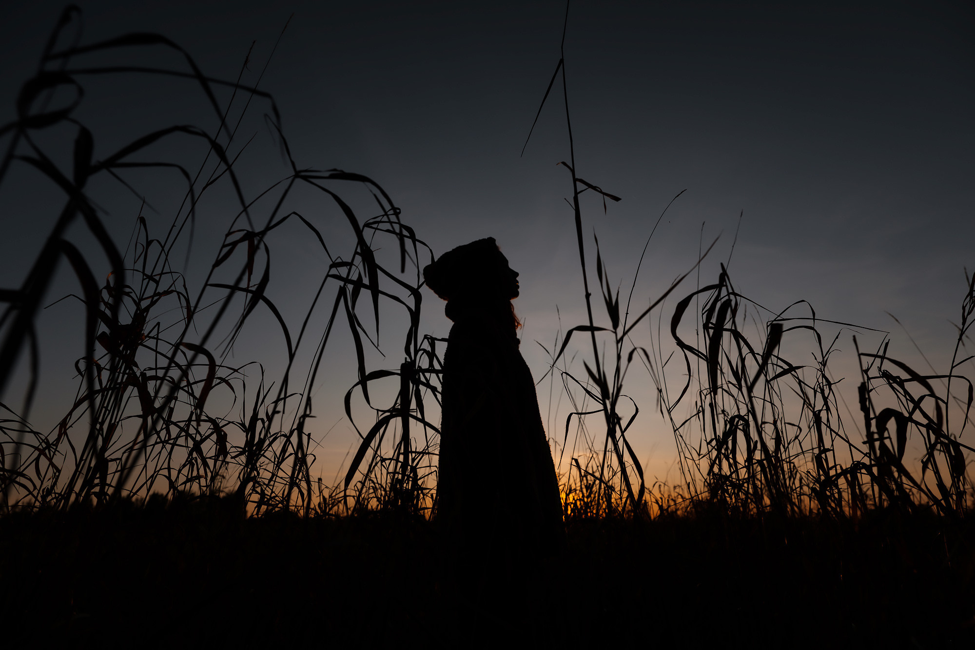 Общий альбой 2019. Свадебный фотограф Великий Новгород Станислав Кособудский