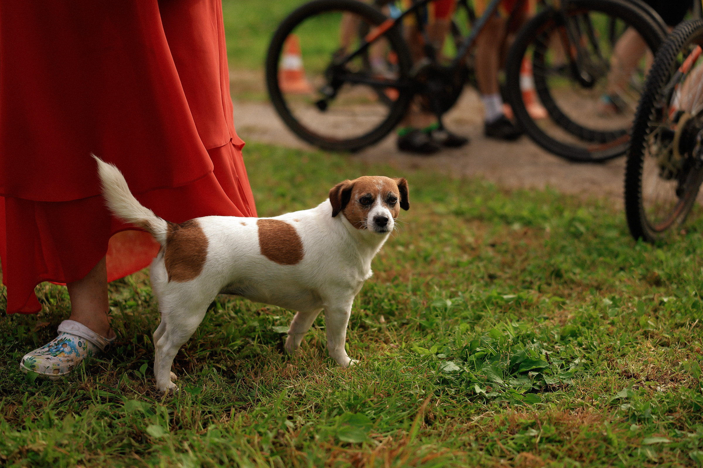 /РЕПОРТАЖ/ Велогонка «ТИПА-ЦИКЛОКРОСС-3» 2023. Свадебный фотограф Великий Новгород Станислав Кособудский