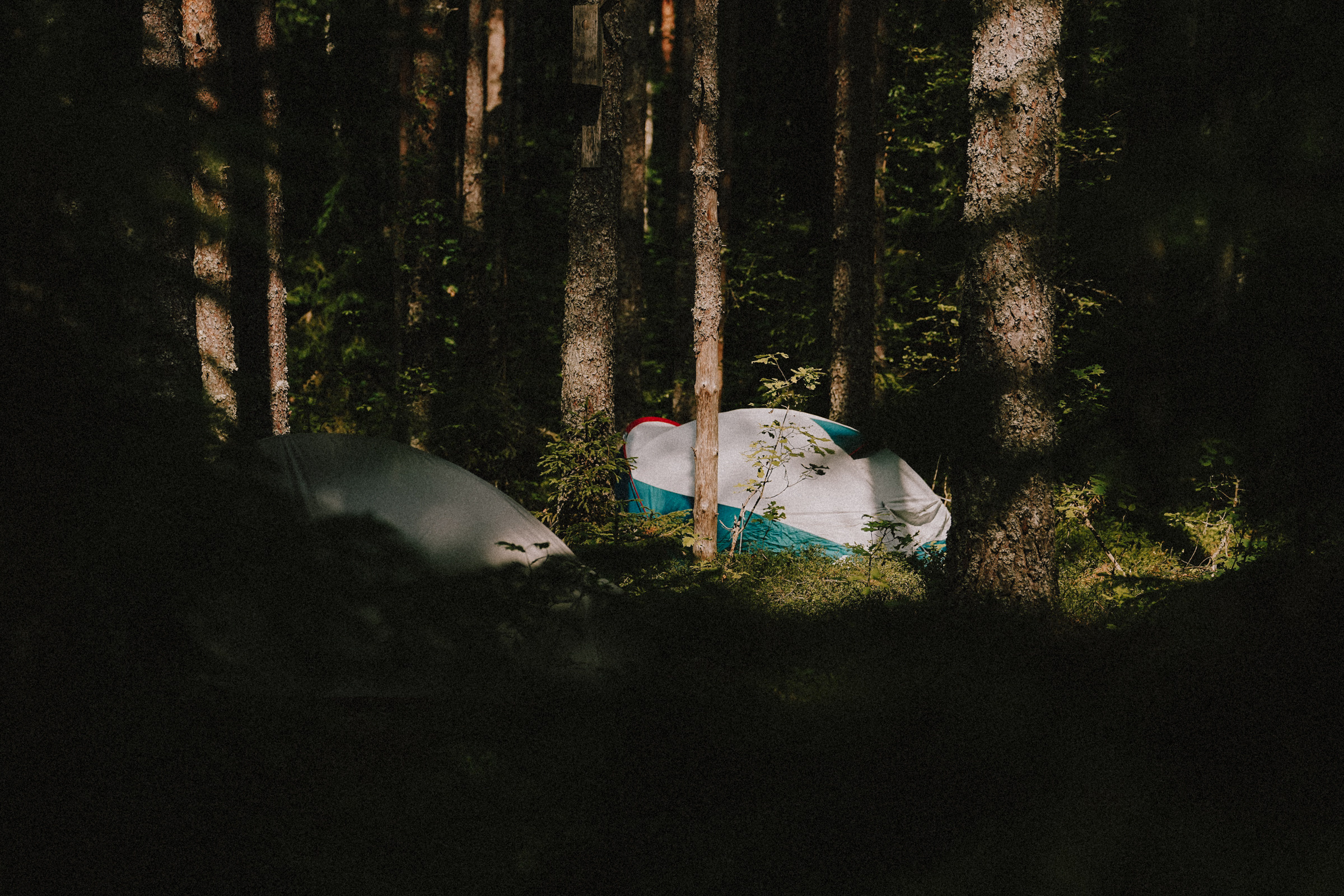 /РЕПОРТАЖ/ Велогонка Царь-Грейдер ONE 14.07.2023. Свадебный фотограф Великий Новгород Станислав Кособудский