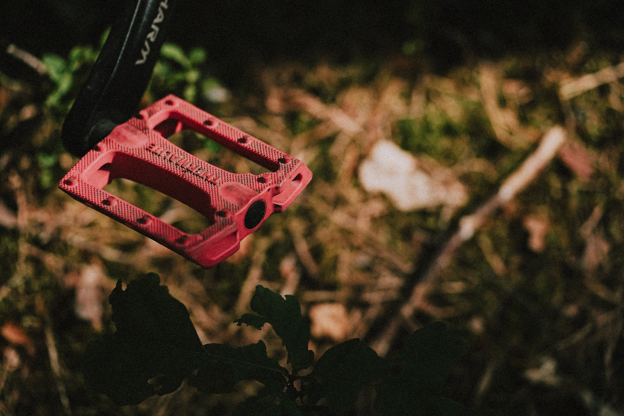 /РЕПОРТАЖ/ Велогонка Царь-Грейдер ONE 14.07.2023. Свадебный фотограф Великий Новгород Станислав Кособудский