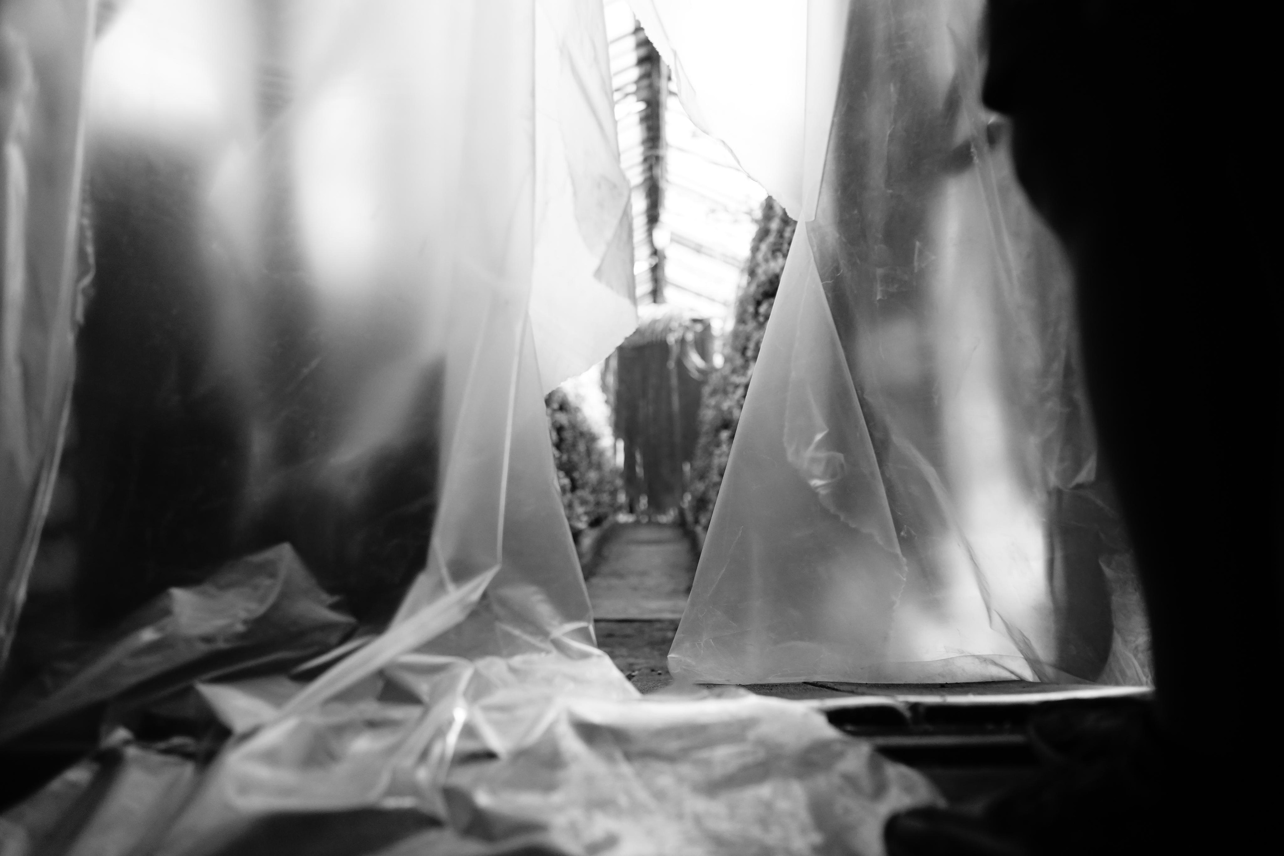 /БЭКСТЕЙДЖ/ BollywoodFM, Хадн дадн — Веснушка. 2021. Свадебный фотограф Великий Новгород Станислав Кособудский