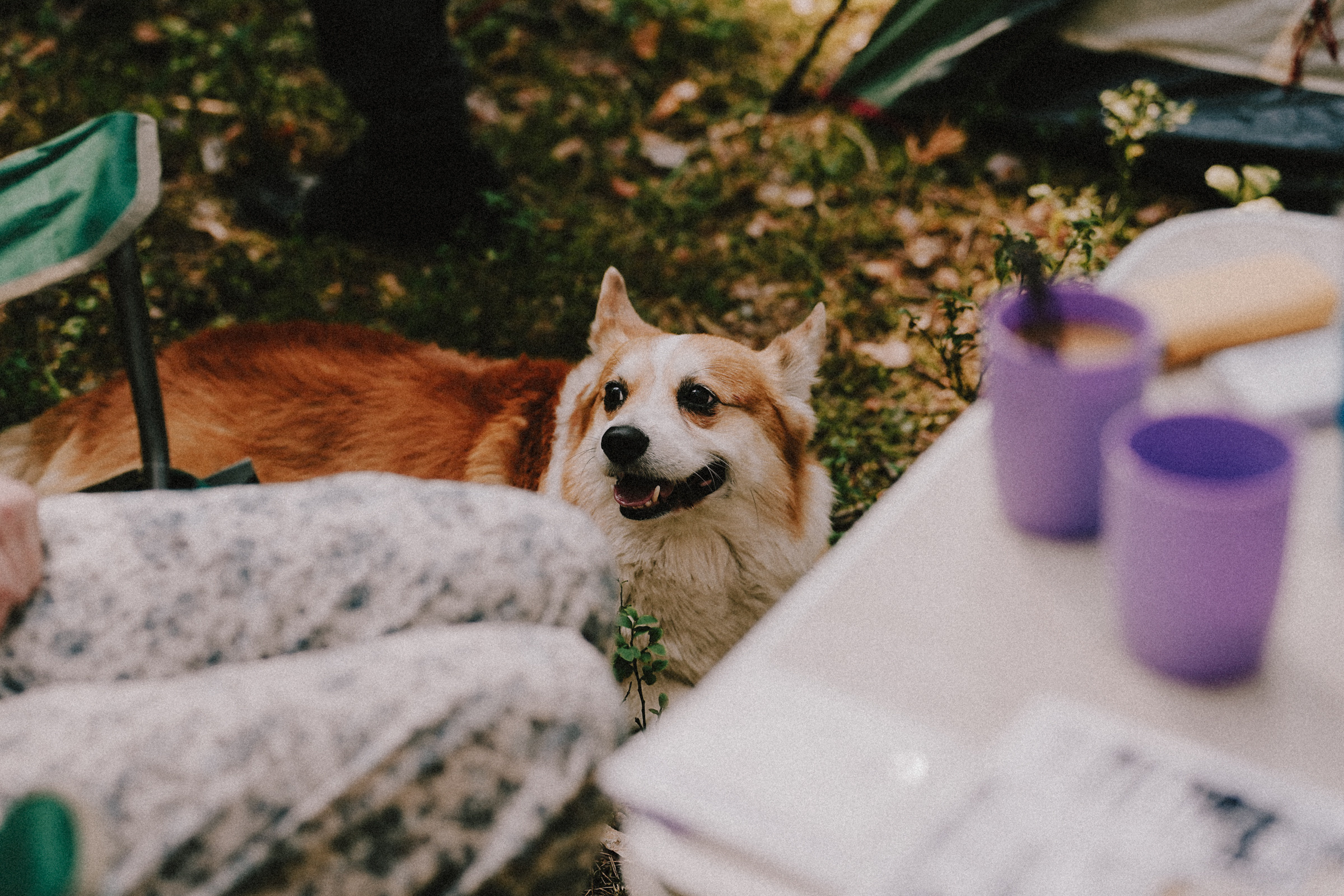 /РЕПОРТАЖ/ Велогонка Царь-Грейдер ONE 14.07.2023. Свадебный фотограф Великий Новгород Станислав Кособудский