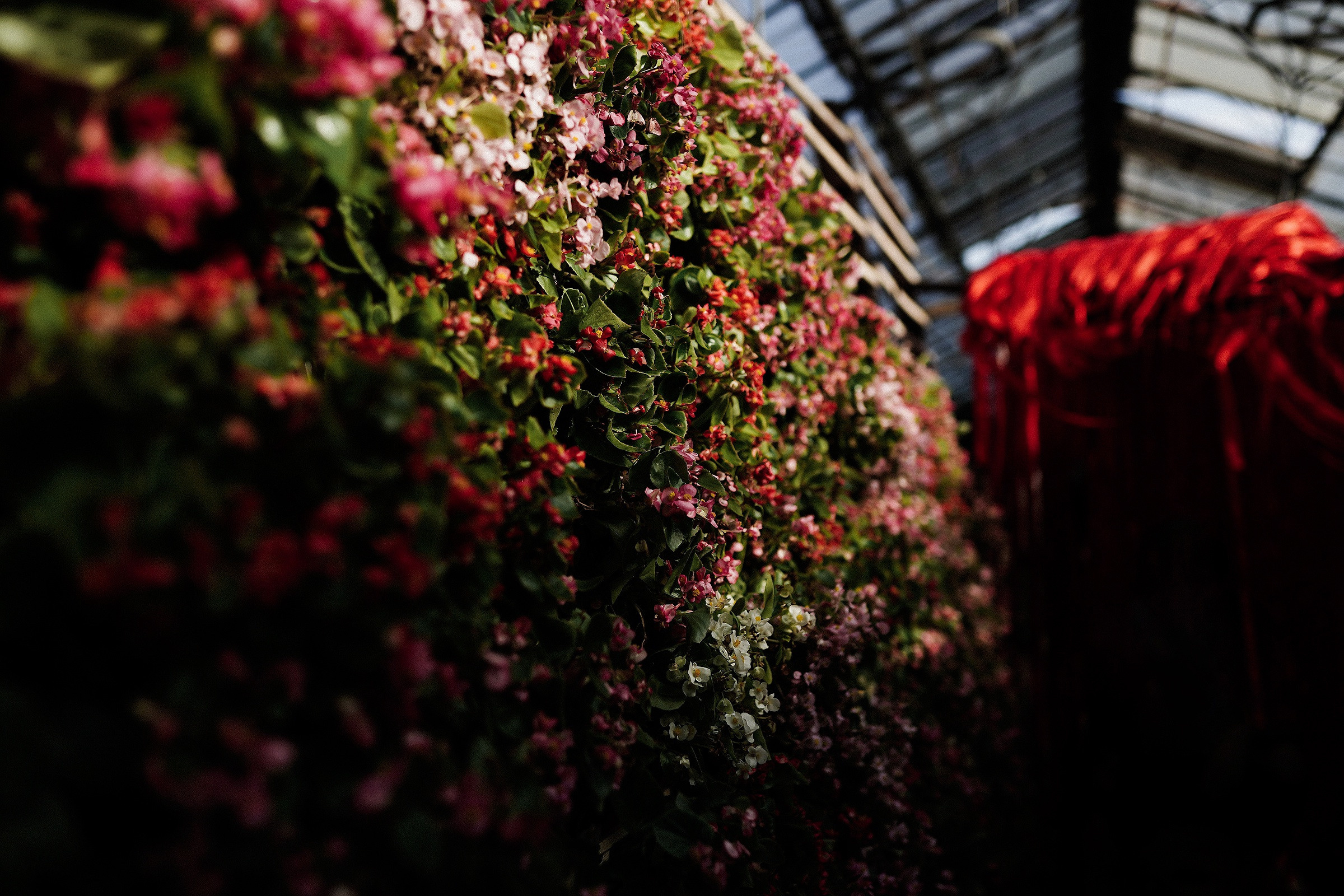 /БЭКСТЕЙДЖ/ BollywoodFM, Хадн дадн — Веснушка. 2021. Свадебный фотограф Великий Новгород Станислав Кособудский