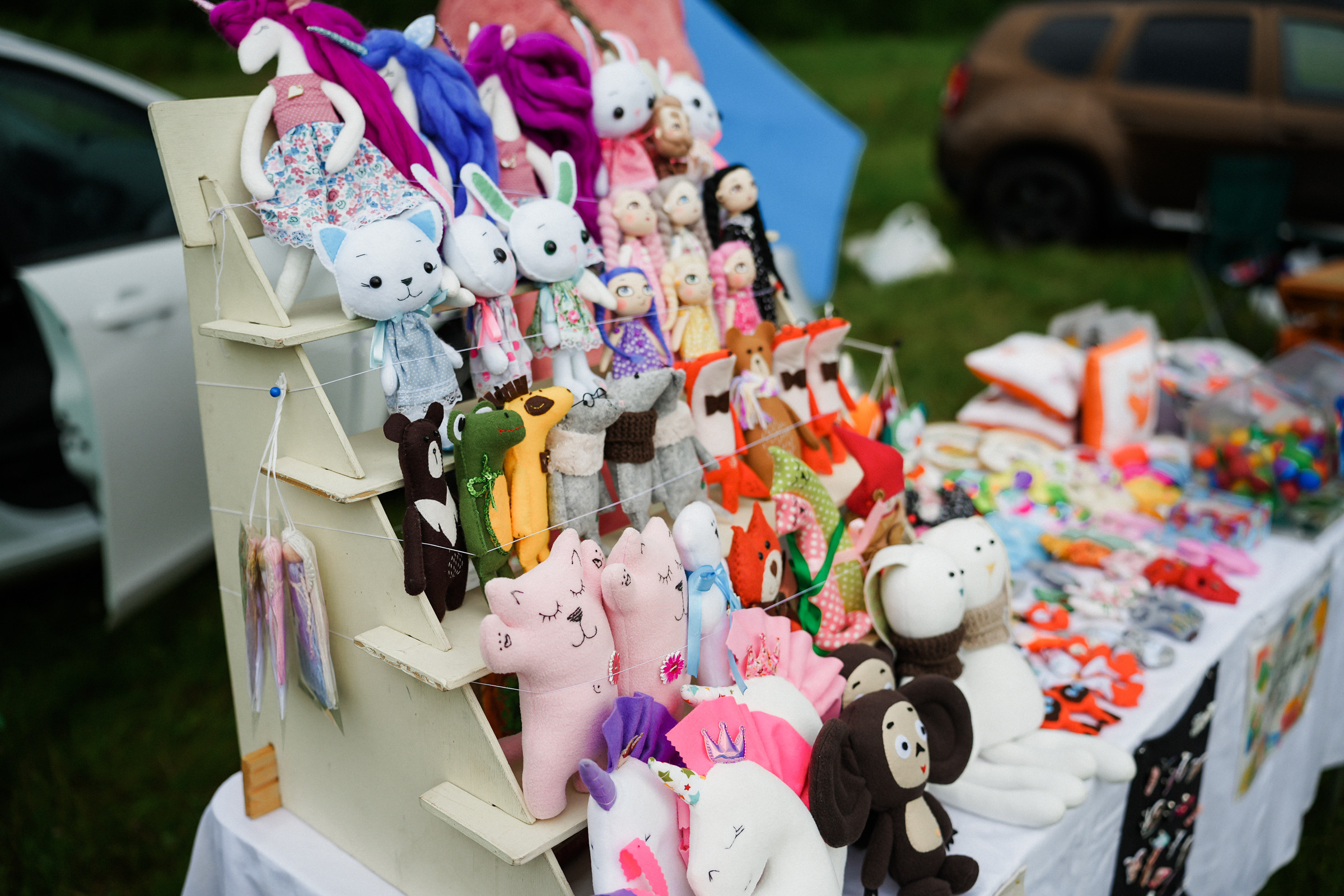 /РЕПОРТАЖ/ Фестиваль СЕНОВАЛ 01.07.2023 (Парфино). Свадебный фотограф Великий Новгород Станислав Кособудский