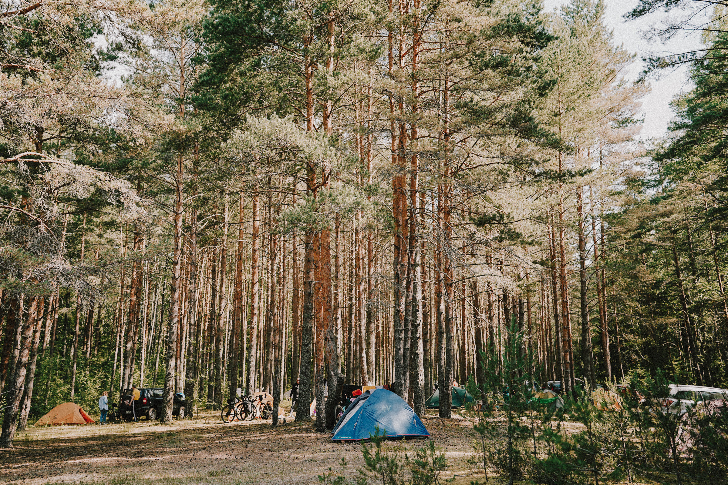 /РЕПОРТАЖ/ Велогонка Царь-Грейдер ONE 14.07.2023. Свадебный фотограф Великий Новгород Станислав Кособудский