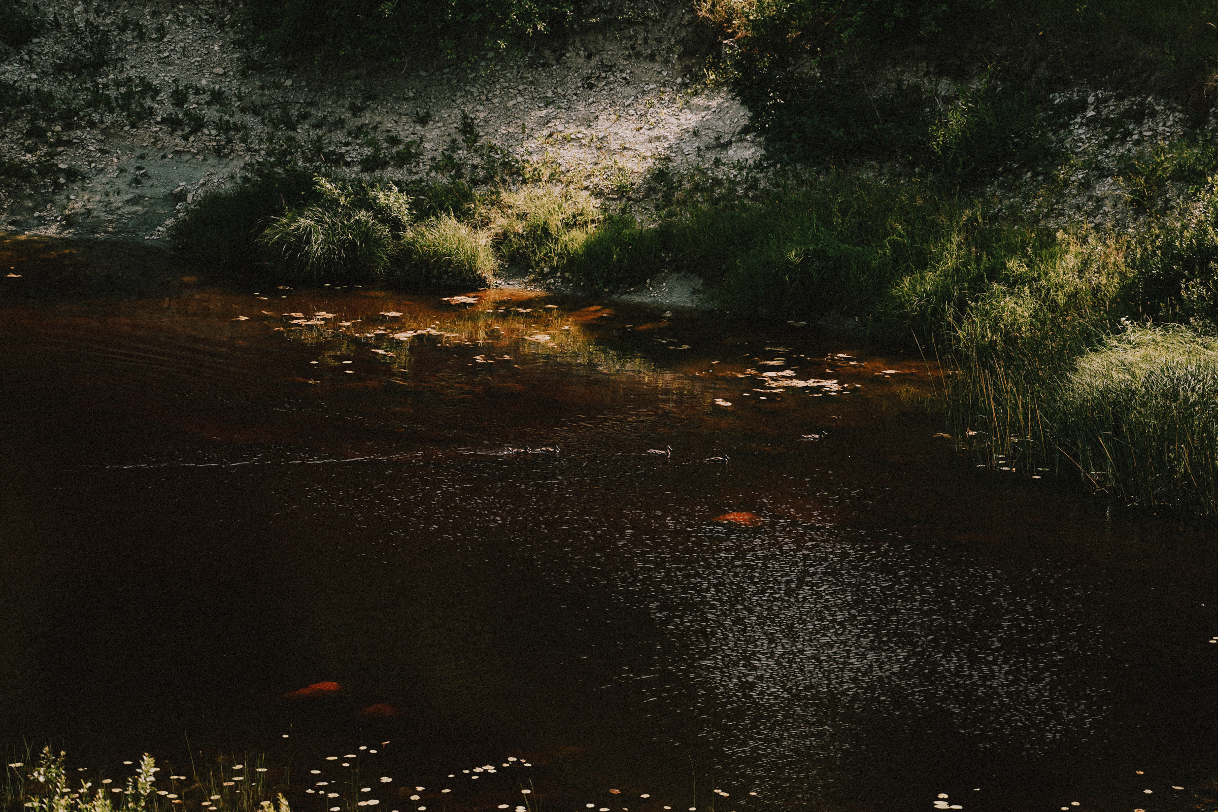 /РЕПОРТАЖ/ Велогонка Царь-Грейдер ONE 14.07.2023. Свадебный фотограф Великий Новгород Станислав Кособудский