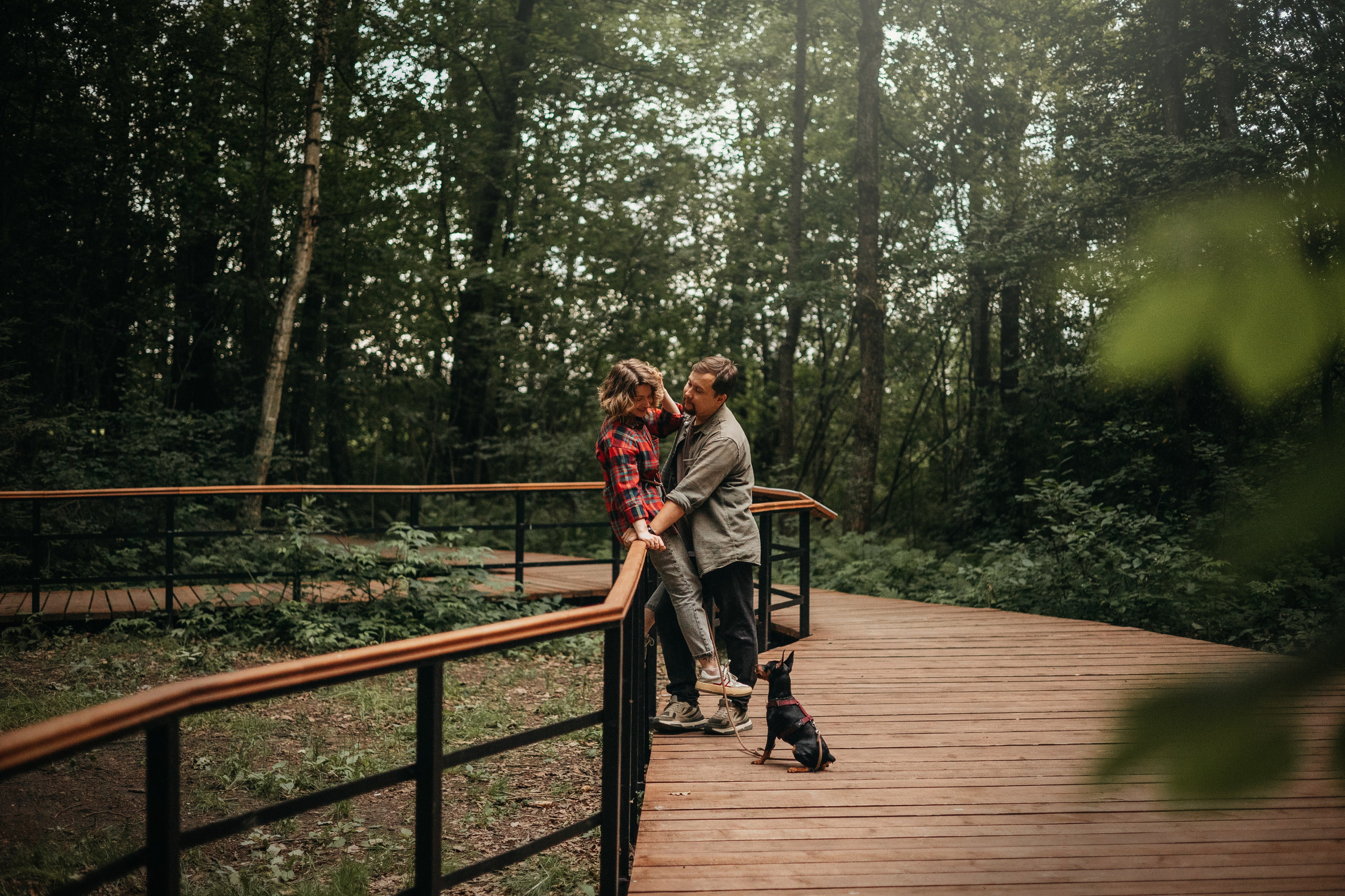 Сириус и его семья. Фотограф — Анималист | Санкт-Петербург