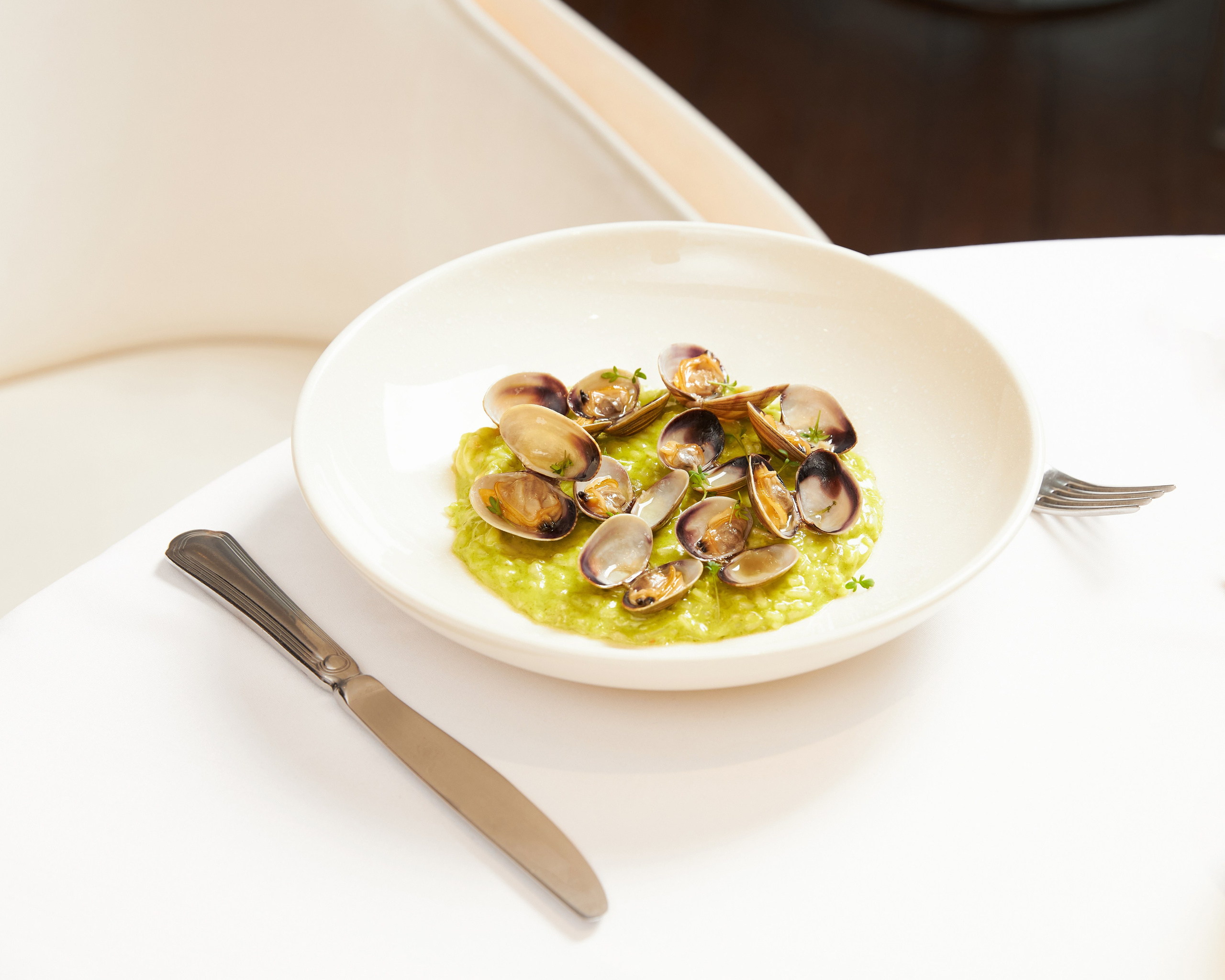 «Плакучая Ива». Главная