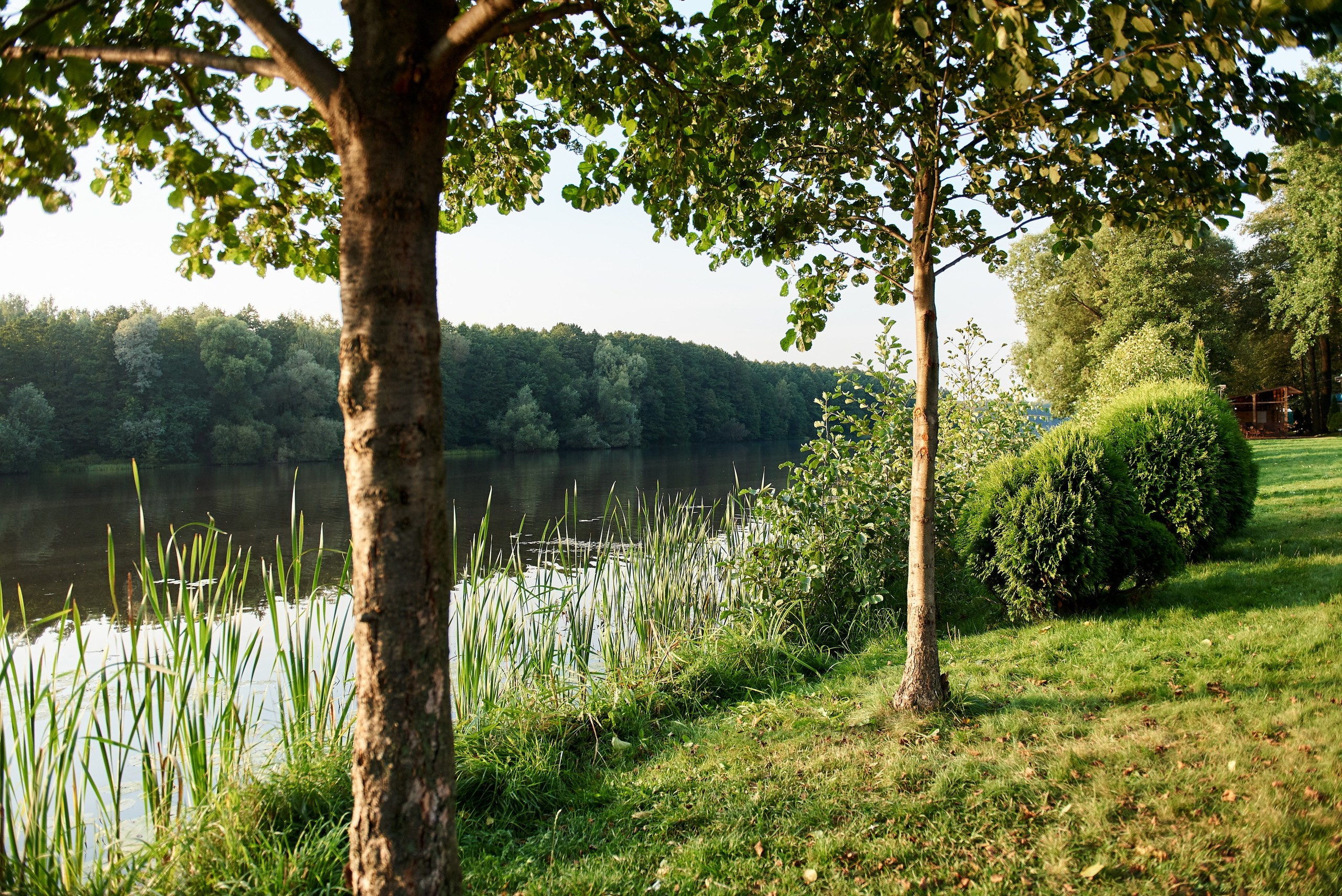 П & Д. Семейный и детский фотограф в г. Ногинске Ангелина Хасанова