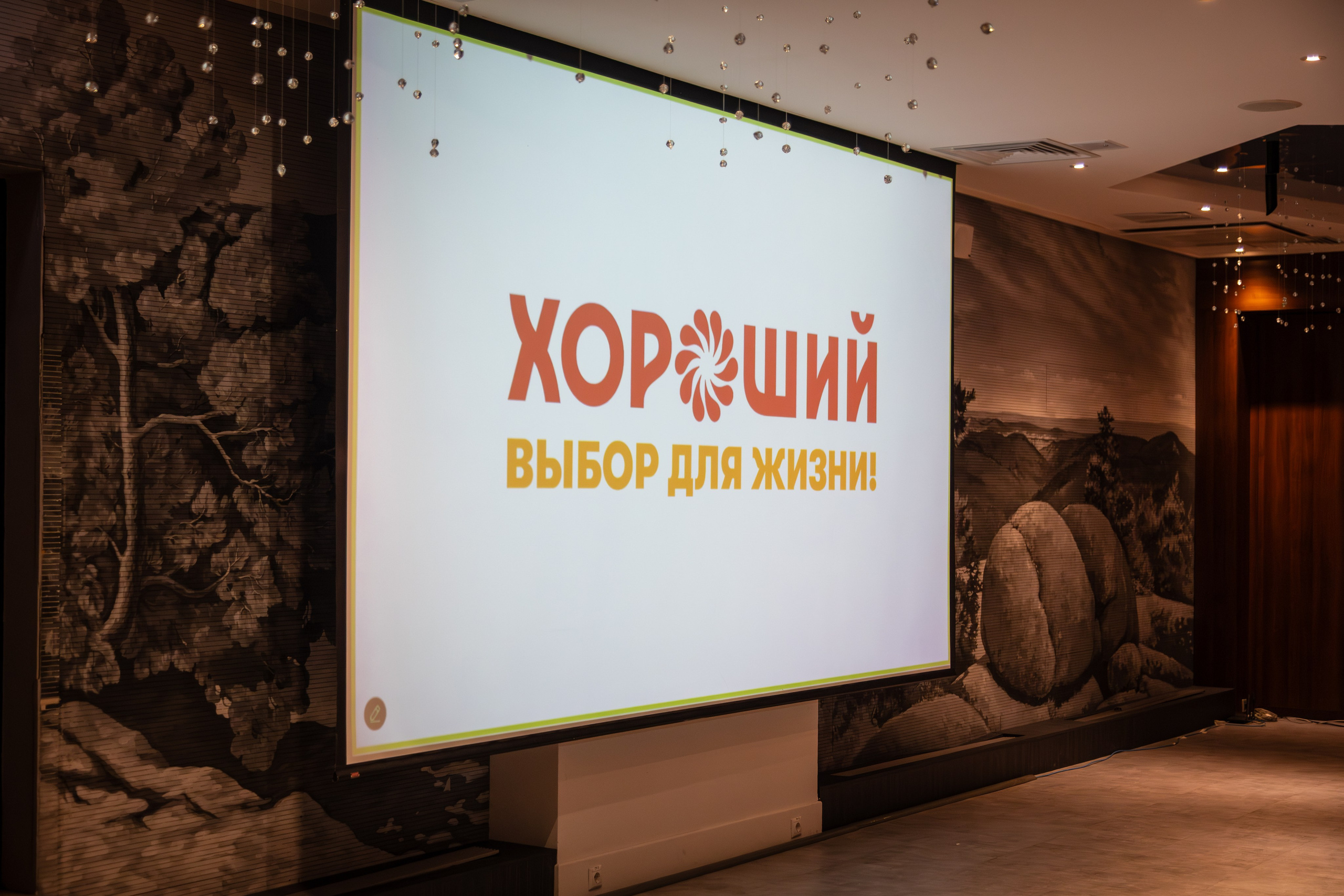 Конференция сети «Хороший». Фотограф Красноярск Игорь Урывский