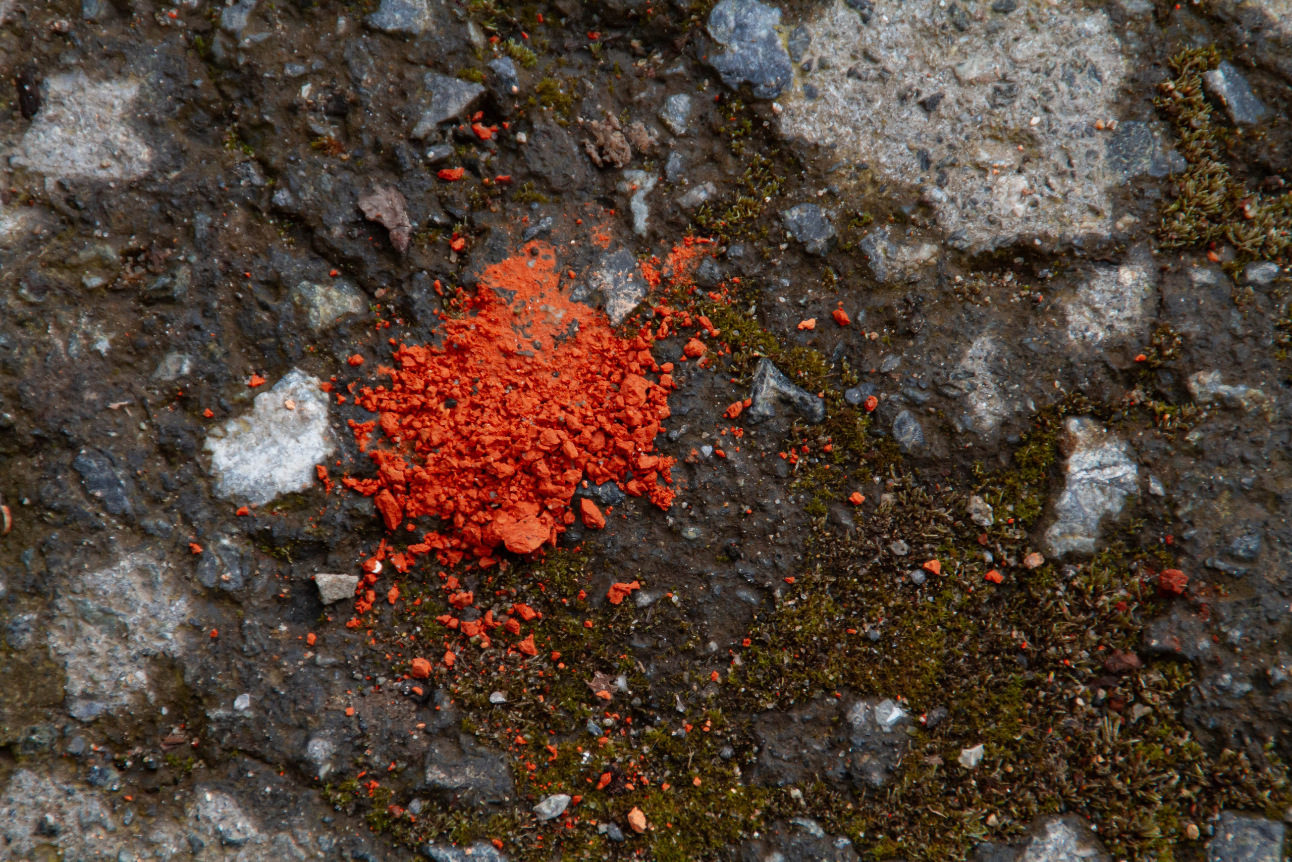 Архитектура