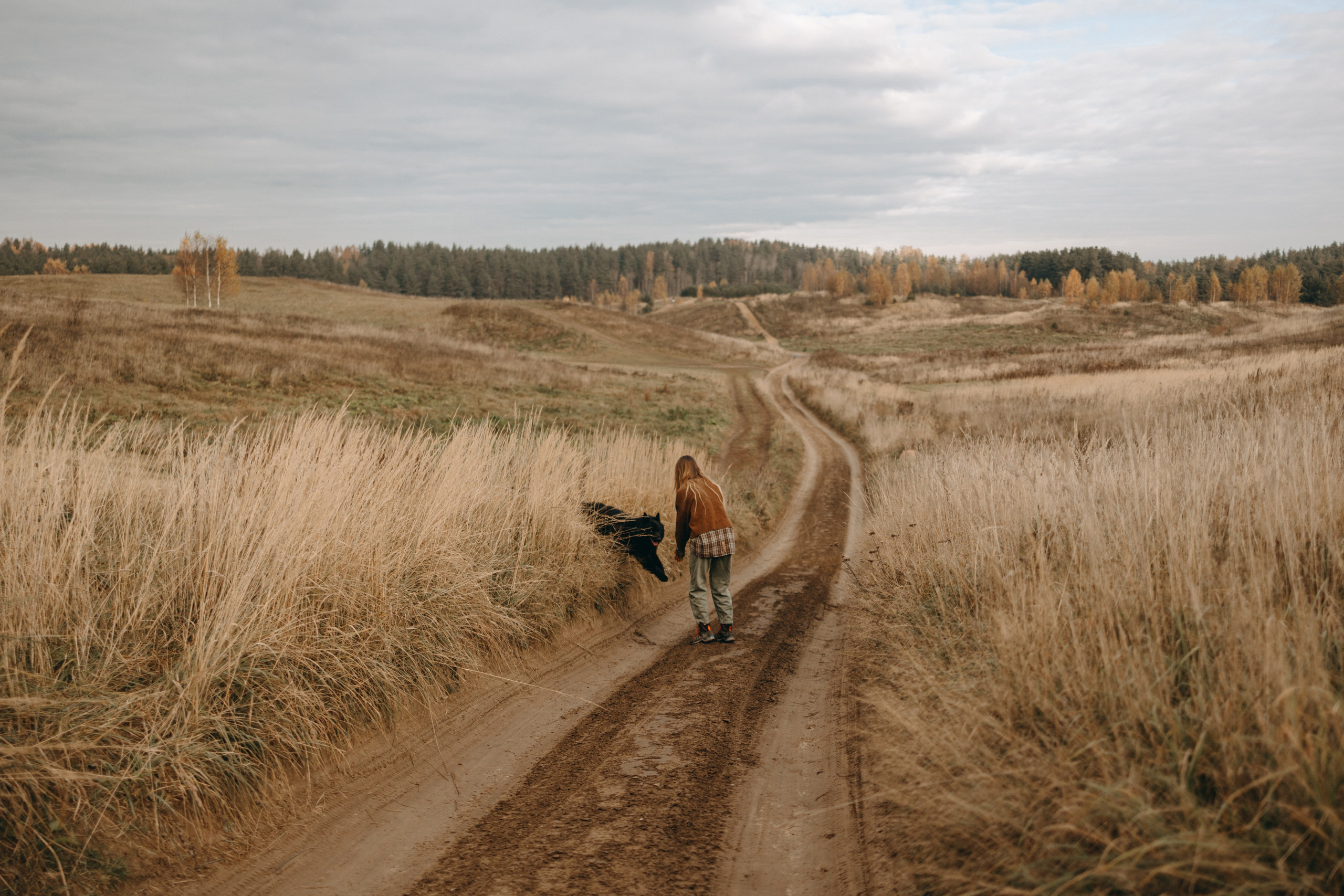 Лора и Джанго. Фотограф — Анималист | Санкт-Петербург