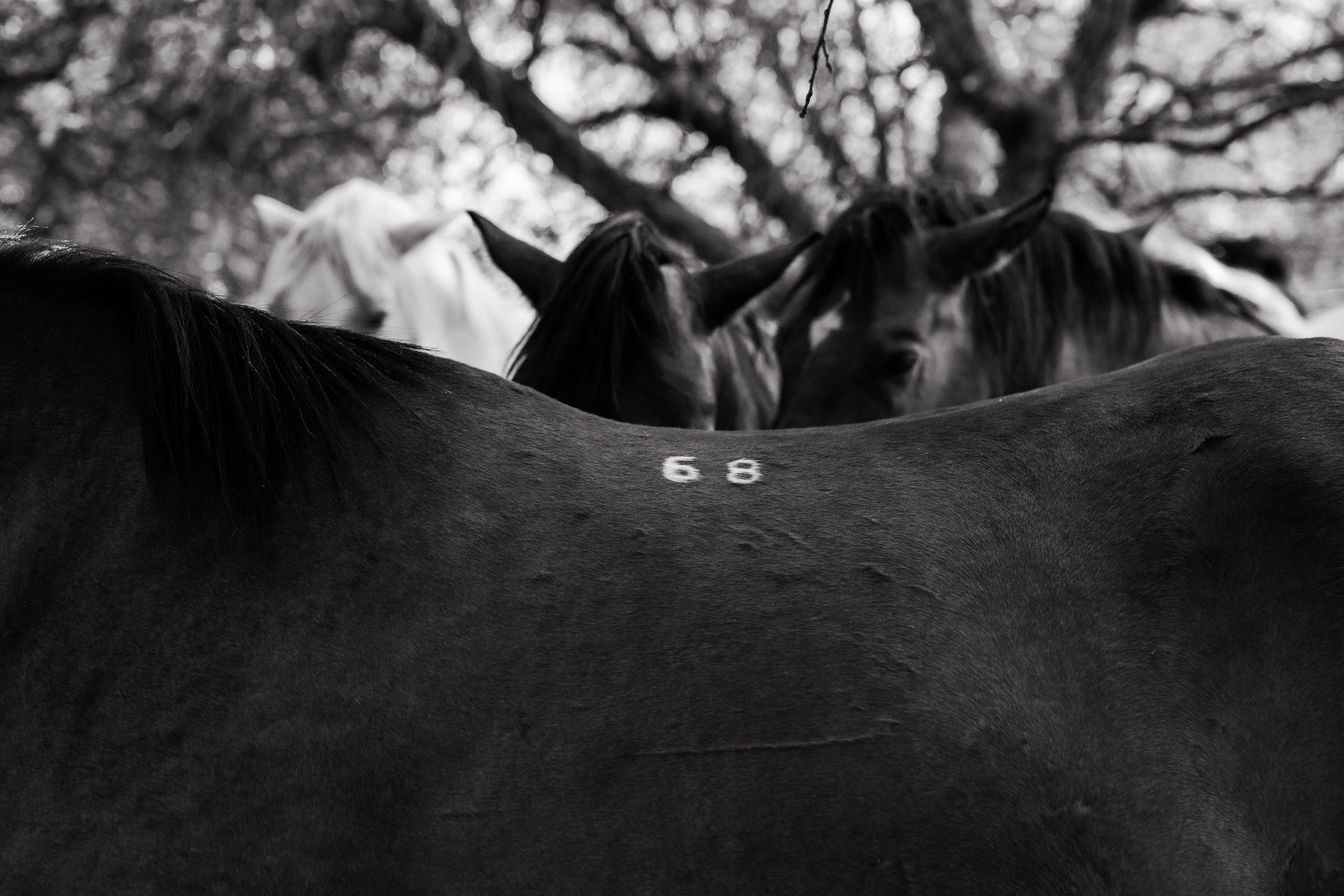 Репортаж для «Райского сада». Портретный и семейный фотограф в Минске