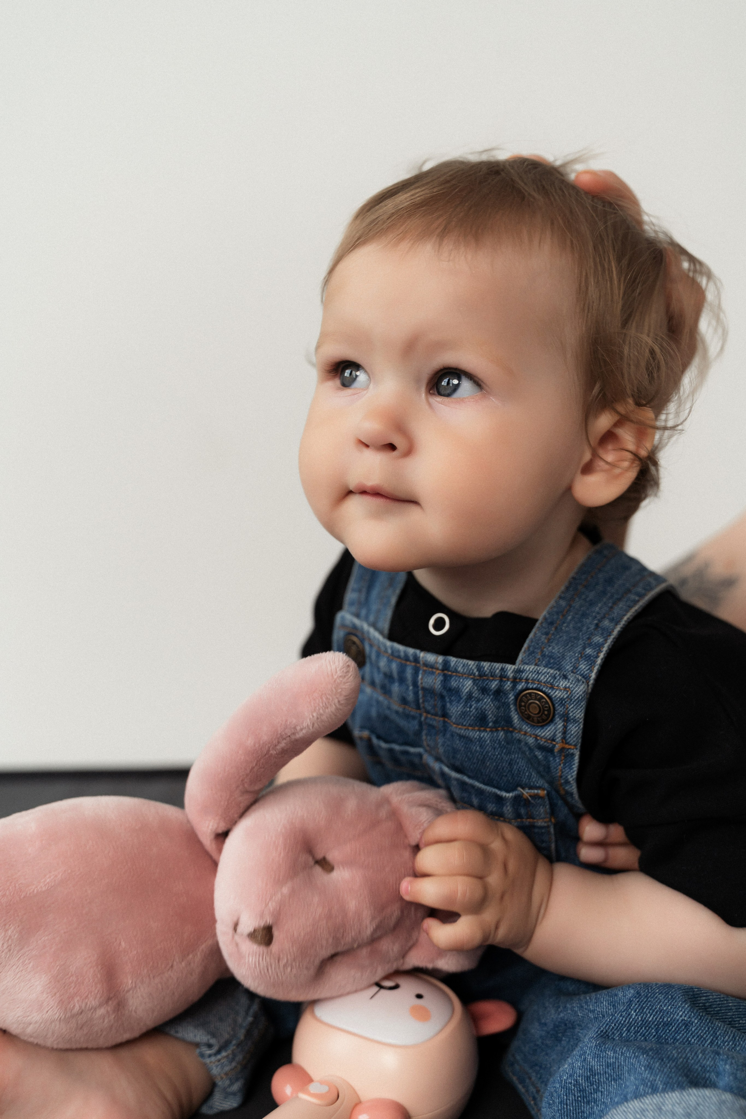 Амеля и её семья!. Фотограф Алина Филимонова Тверь