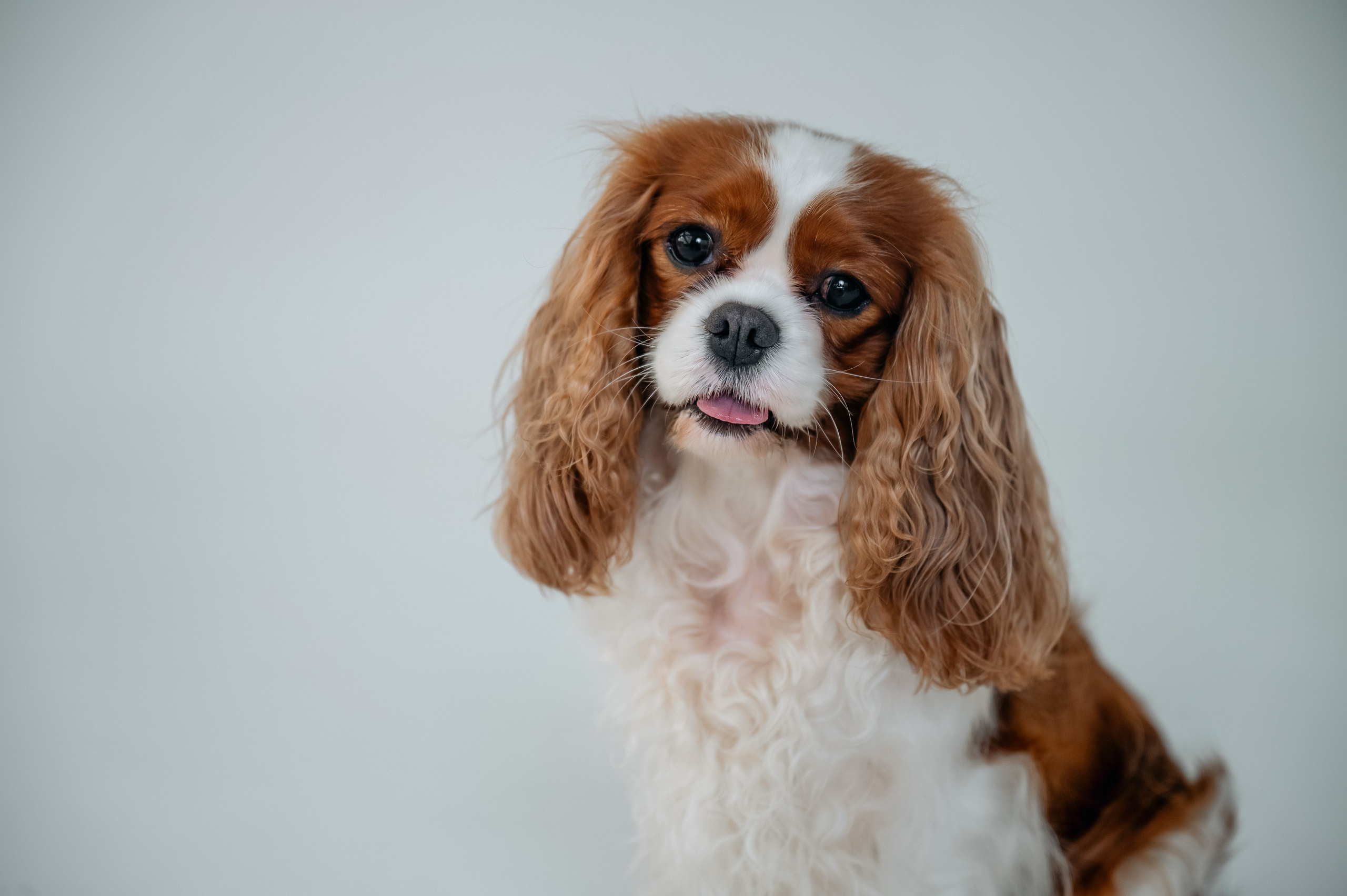 Елена. Ваш фотограф в г. Петропавловске-Камчатском Арина Алексеева