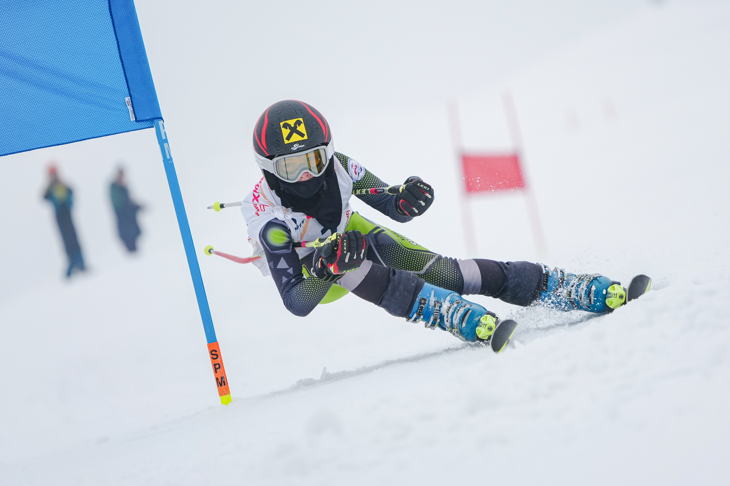 GS (Giant Slalom) - Слалом-гигант. Соревнования по горнолыжному спорту. Московская область, Шуколово