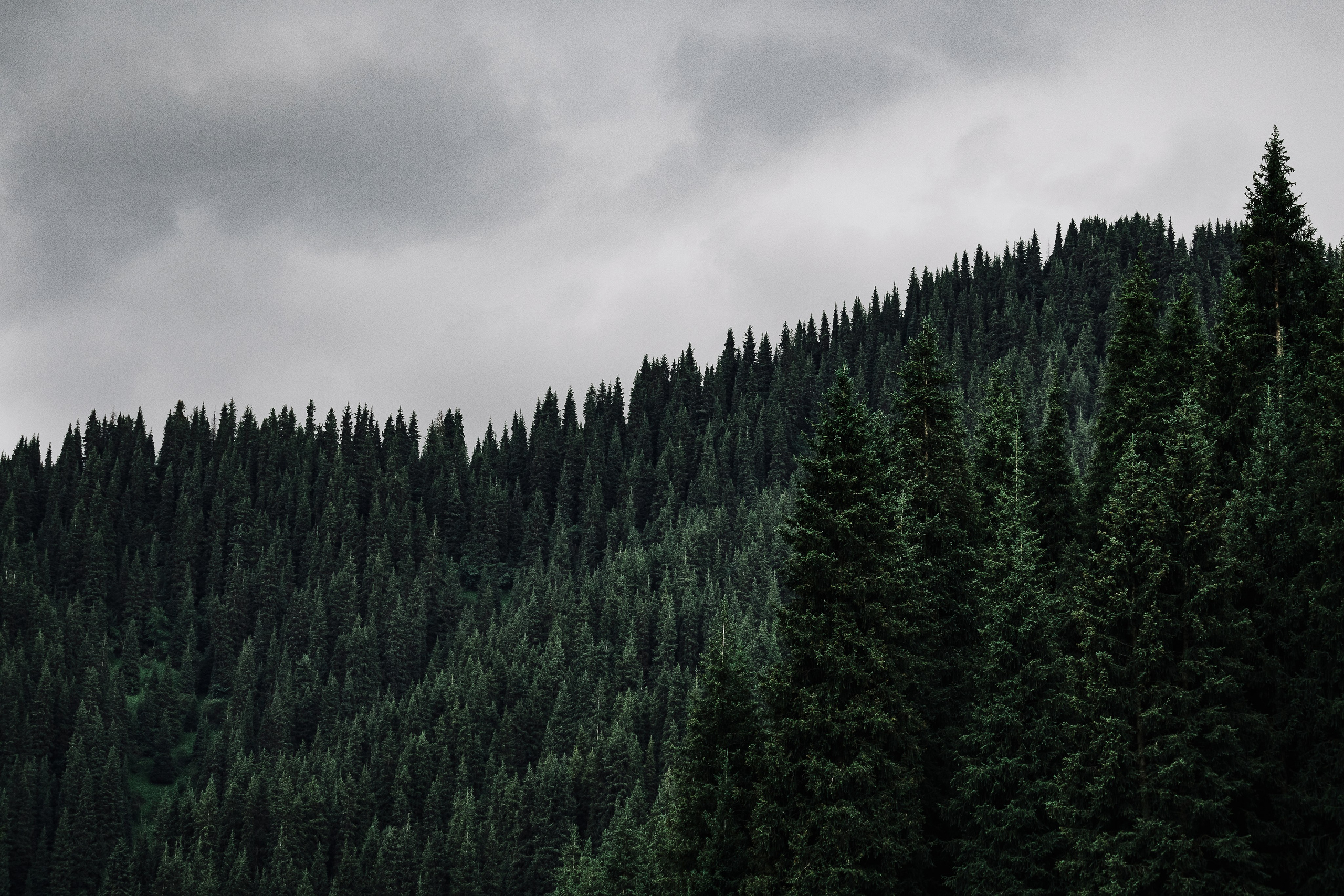 Жизнь. Фотограф Алматы | Весь мир — Никита Колодин