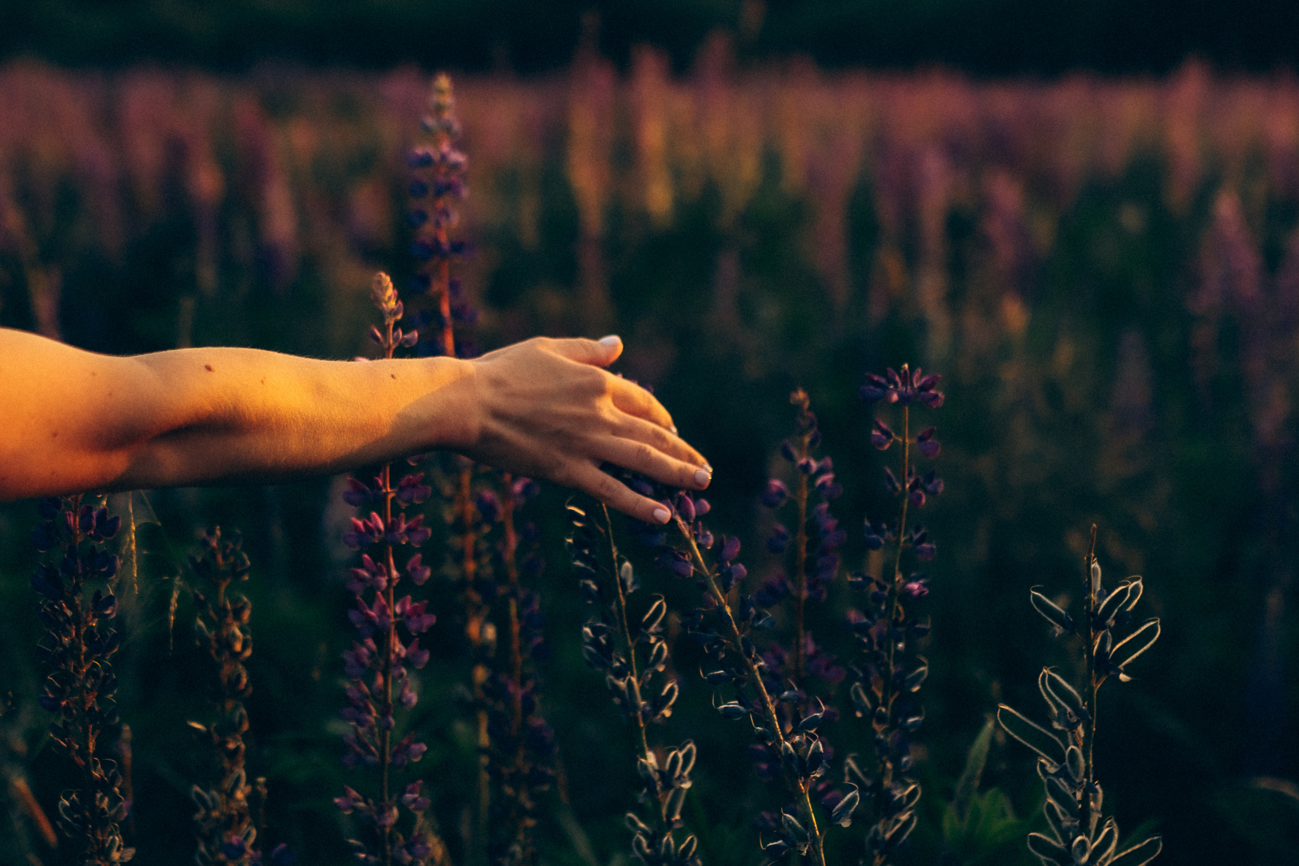 Мама+дочь. Фотограф ПИТЕР СПБ Надежда Баранова