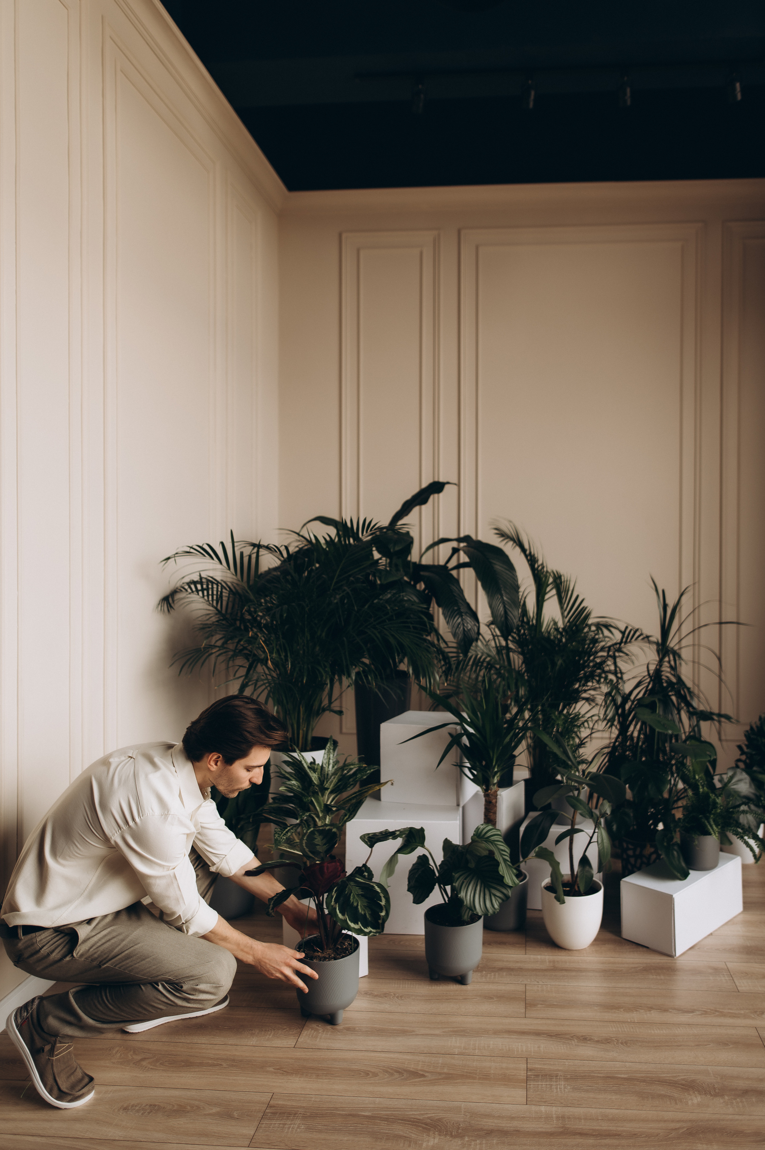 Маша+Саша камерная свадьба. Фотограф ПИТЕР СПБ Надежда Баранова