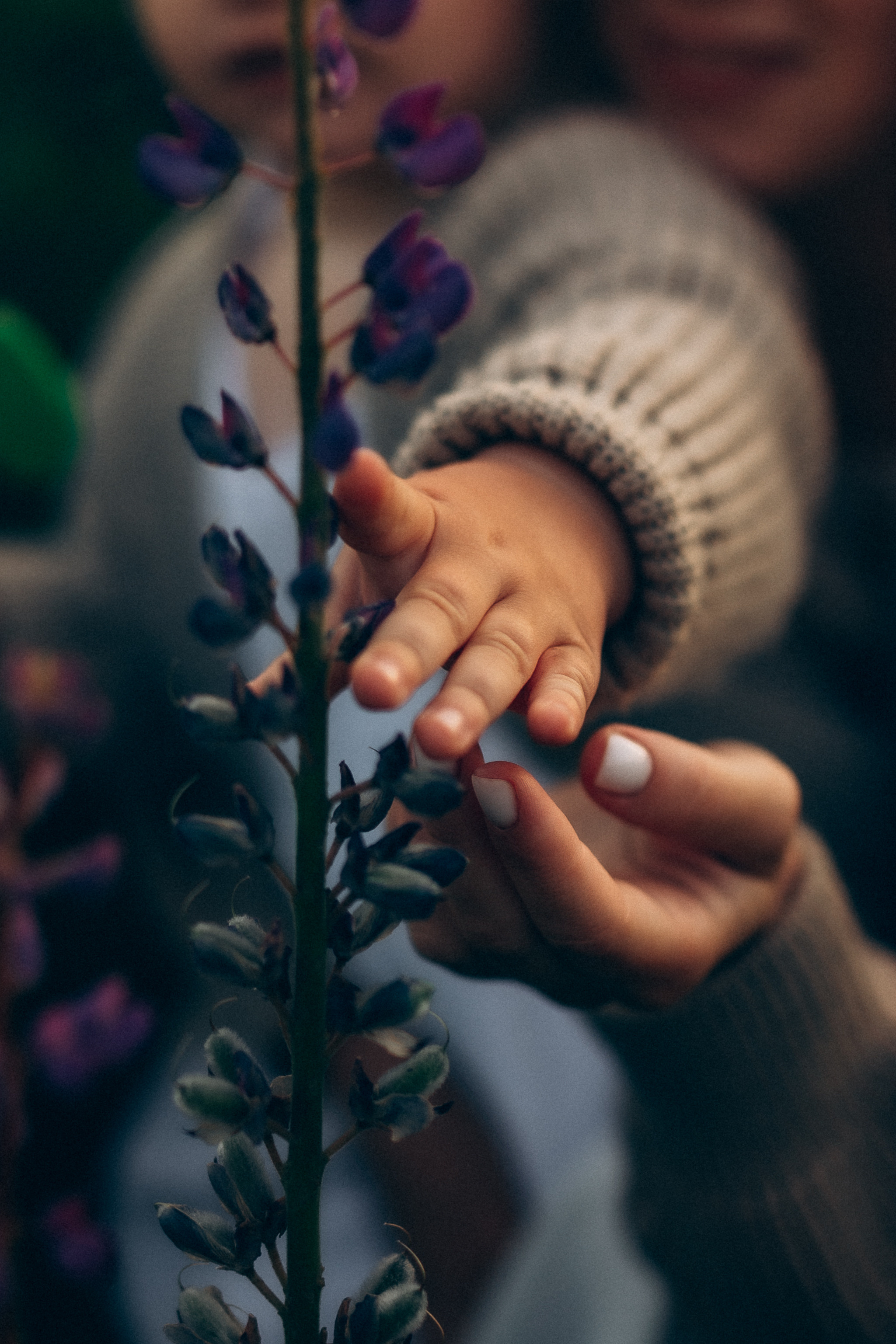 Мама+дочь. Фотограф ПИТЕР СПБ Надежда Баранова