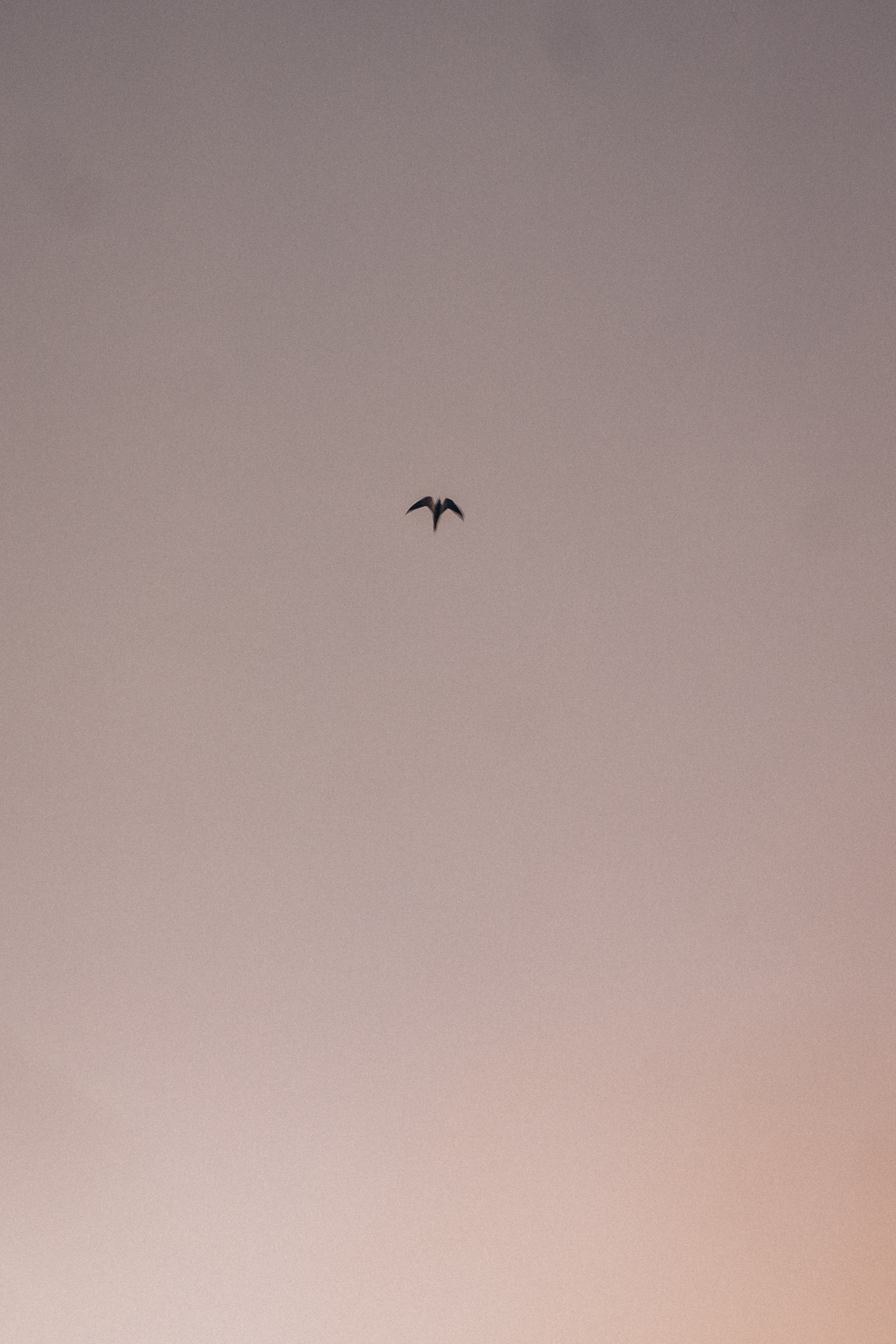 Лав-стори на рассвете. Фотограф ПИТЕР СПБ Надежда Баранова