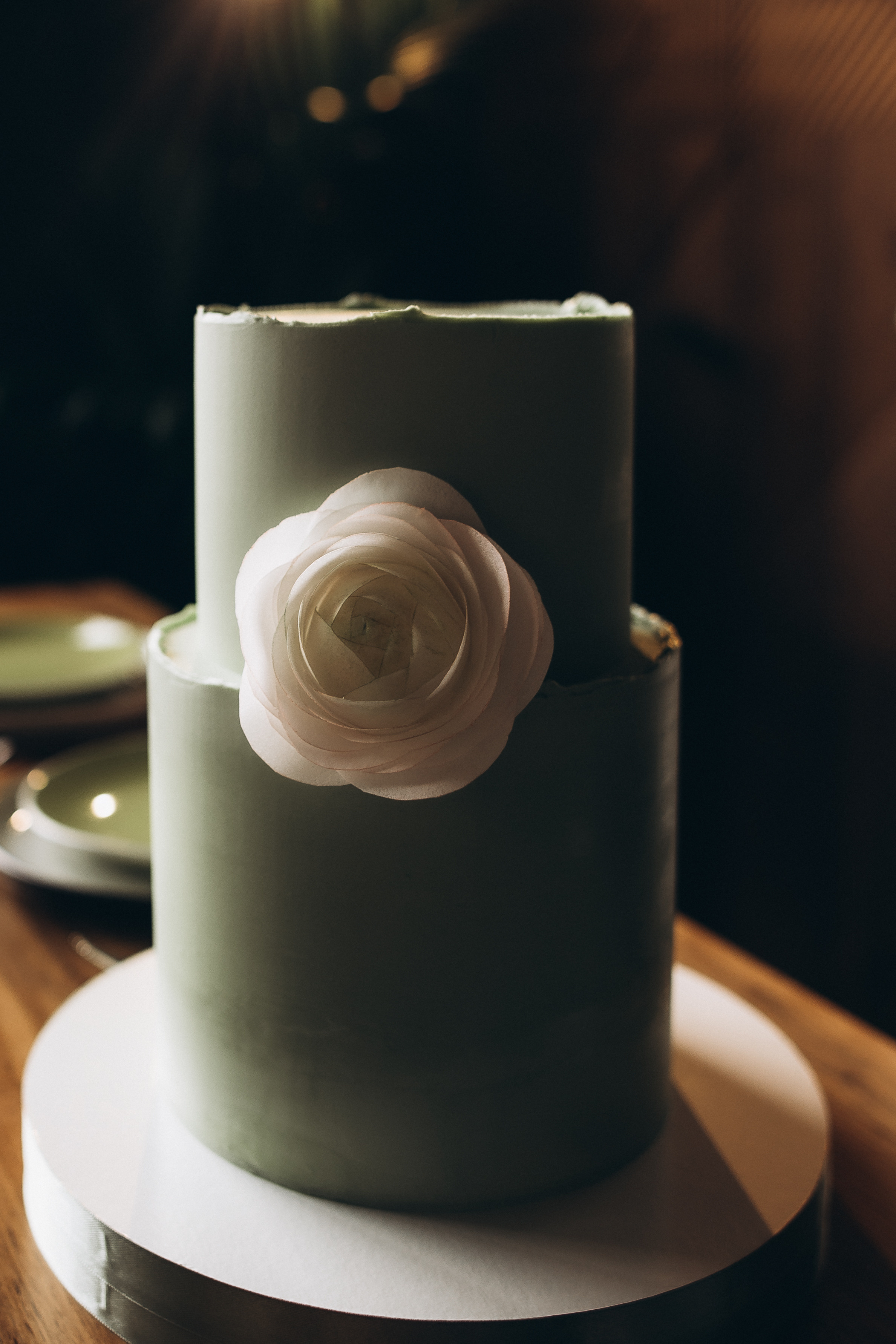 Маша+Саша камерная свадьба. Фотограф ПИТЕР СПБ Надежда Баранова