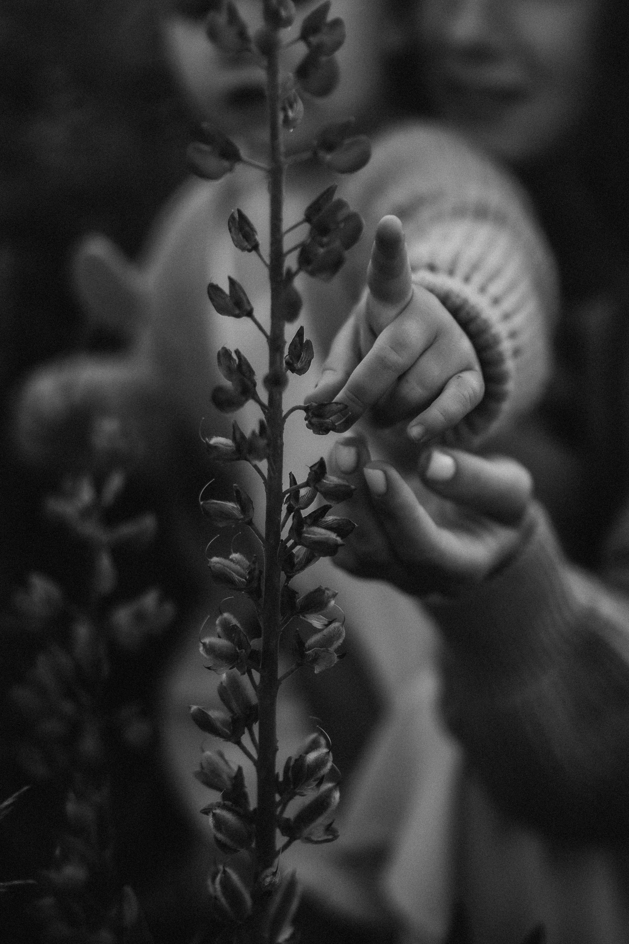 Мама+дочь. Фотограф ПИТЕР СПБ Надежда Баранова