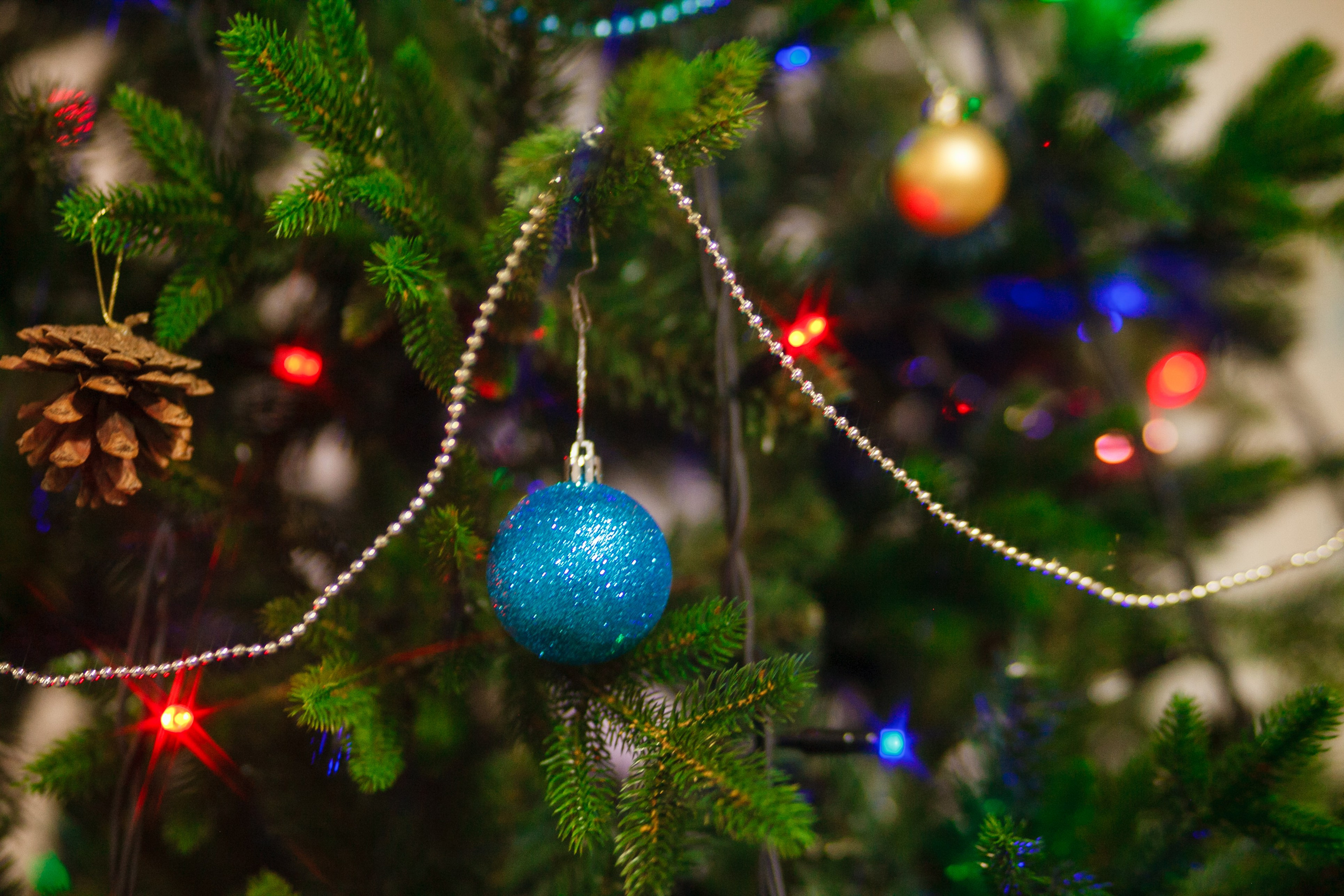 Утренник в шахматной школе. Свадебный и семейный фотограф в Армавире