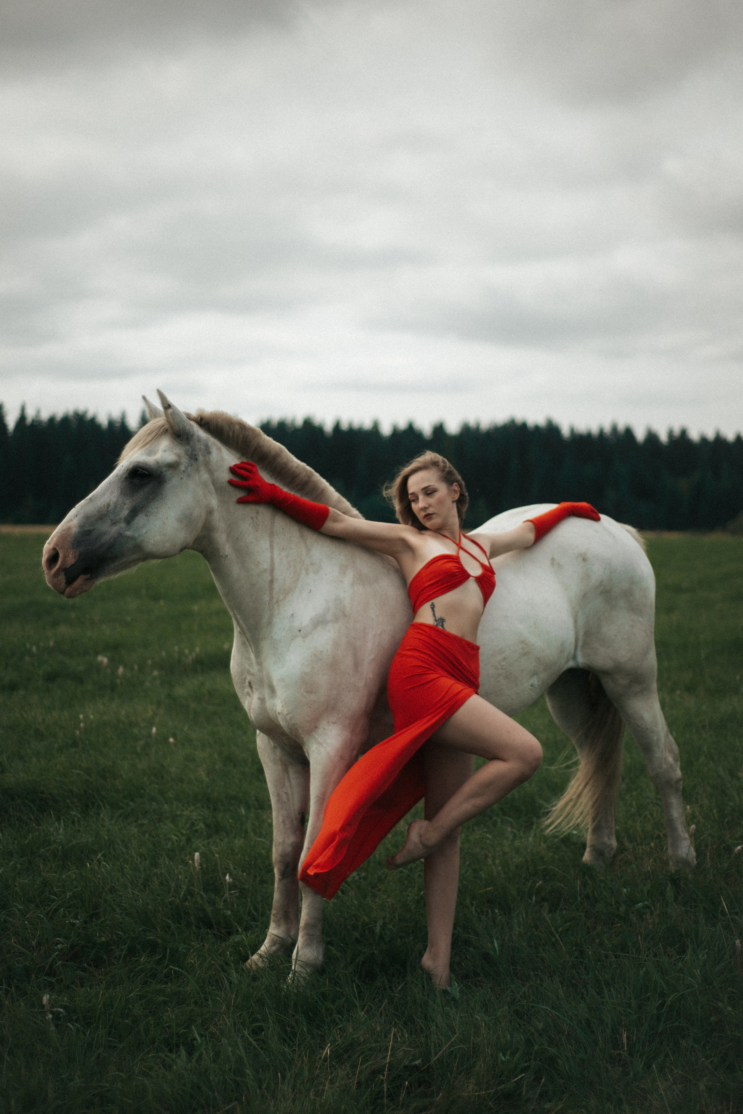 Horse. Фотограф