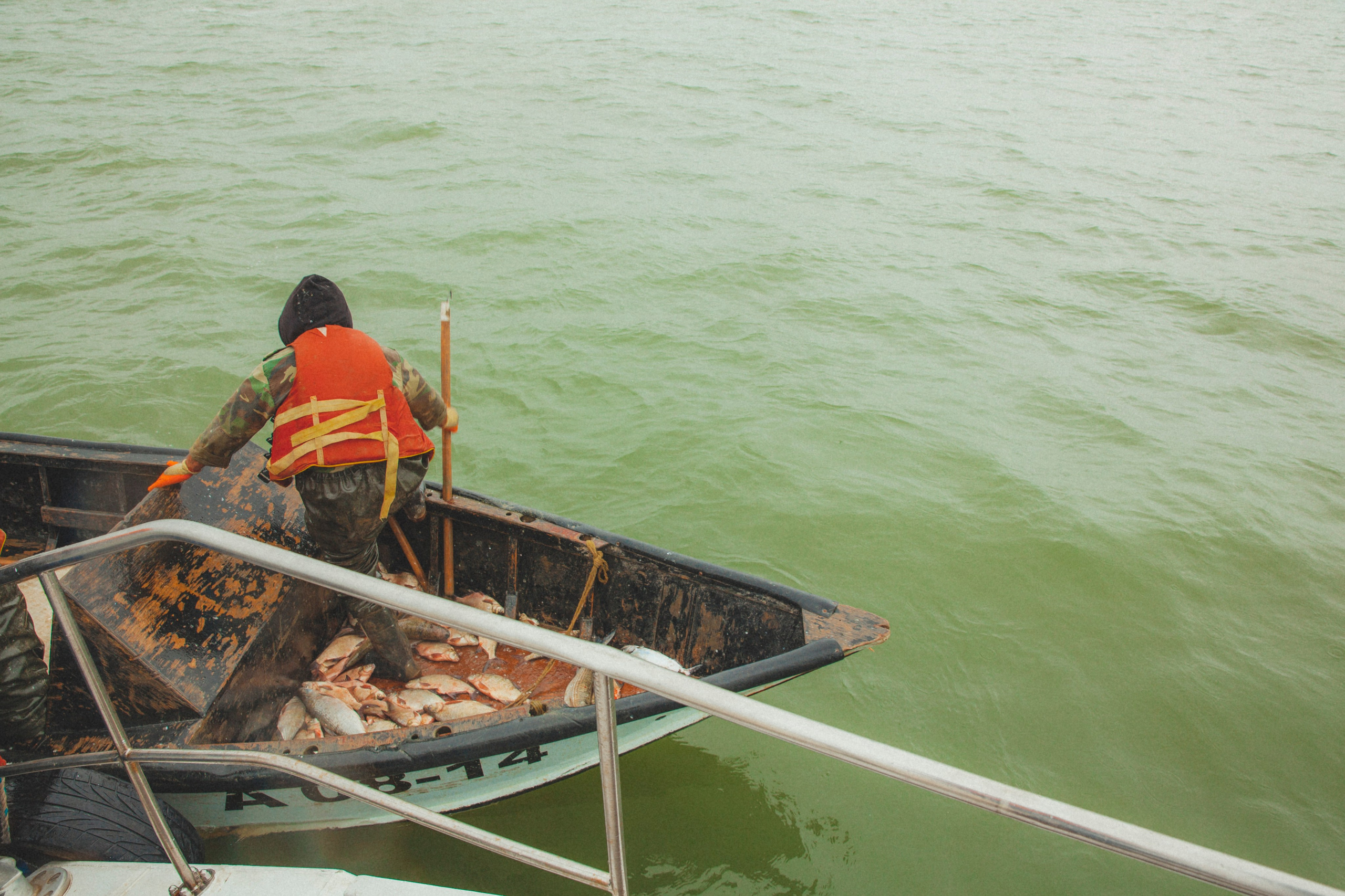 Каспийский страж. Фотограф Александра Степанова