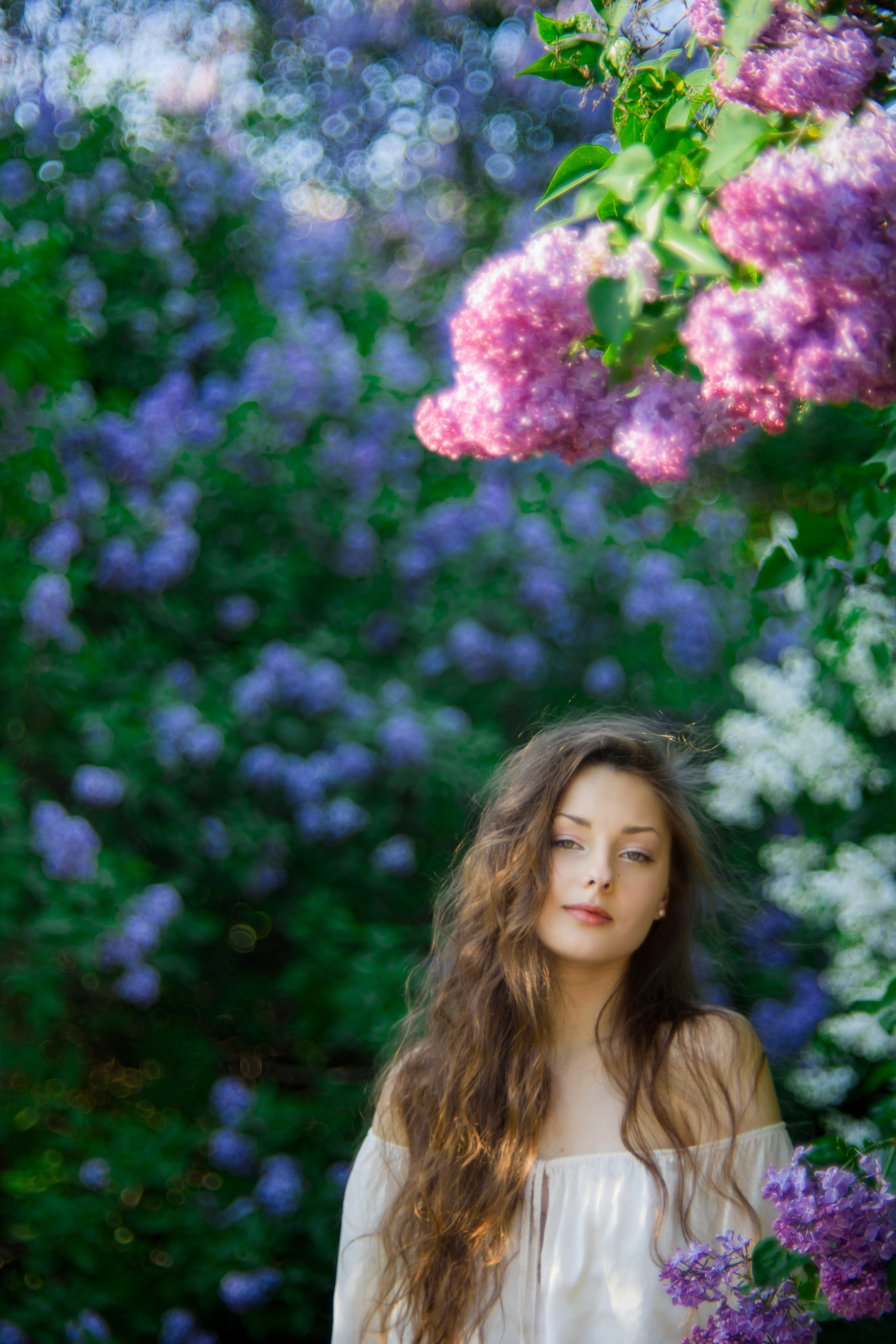 Фотосессия в сиреневом саду. Главная